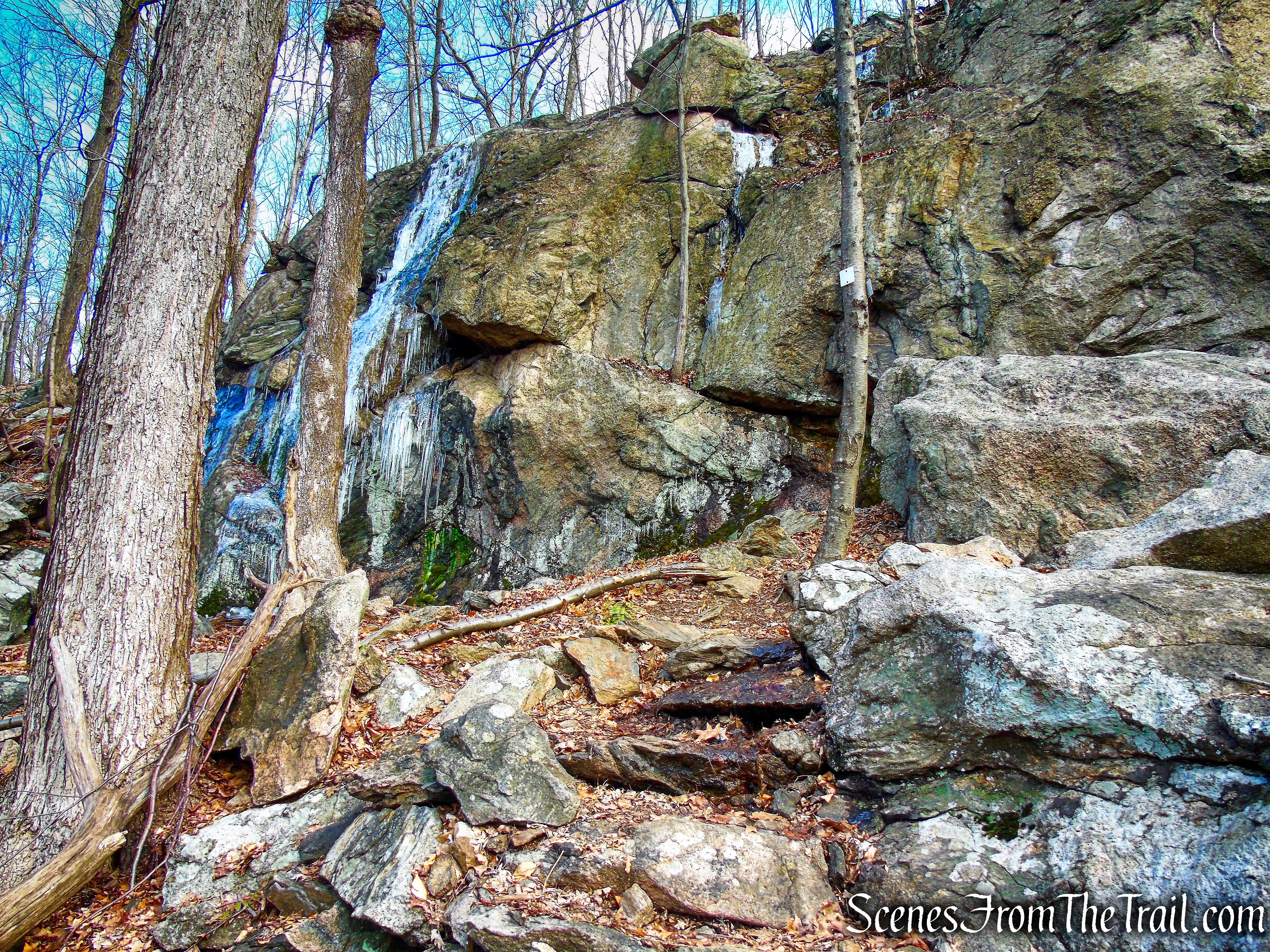 White Trail - Mountain Lakes Park