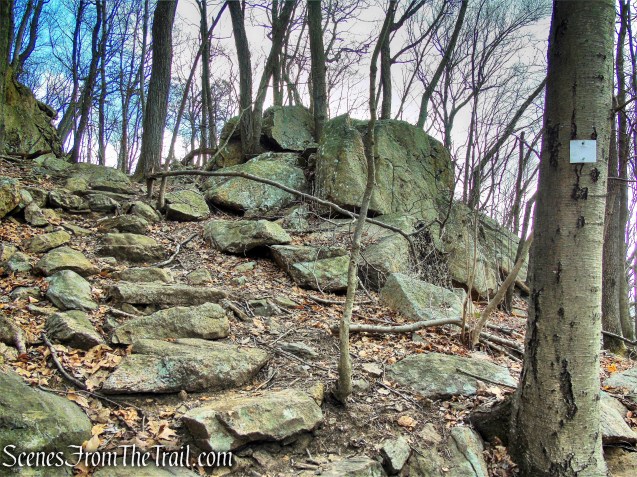 White Trail - Mountain Lakes Park