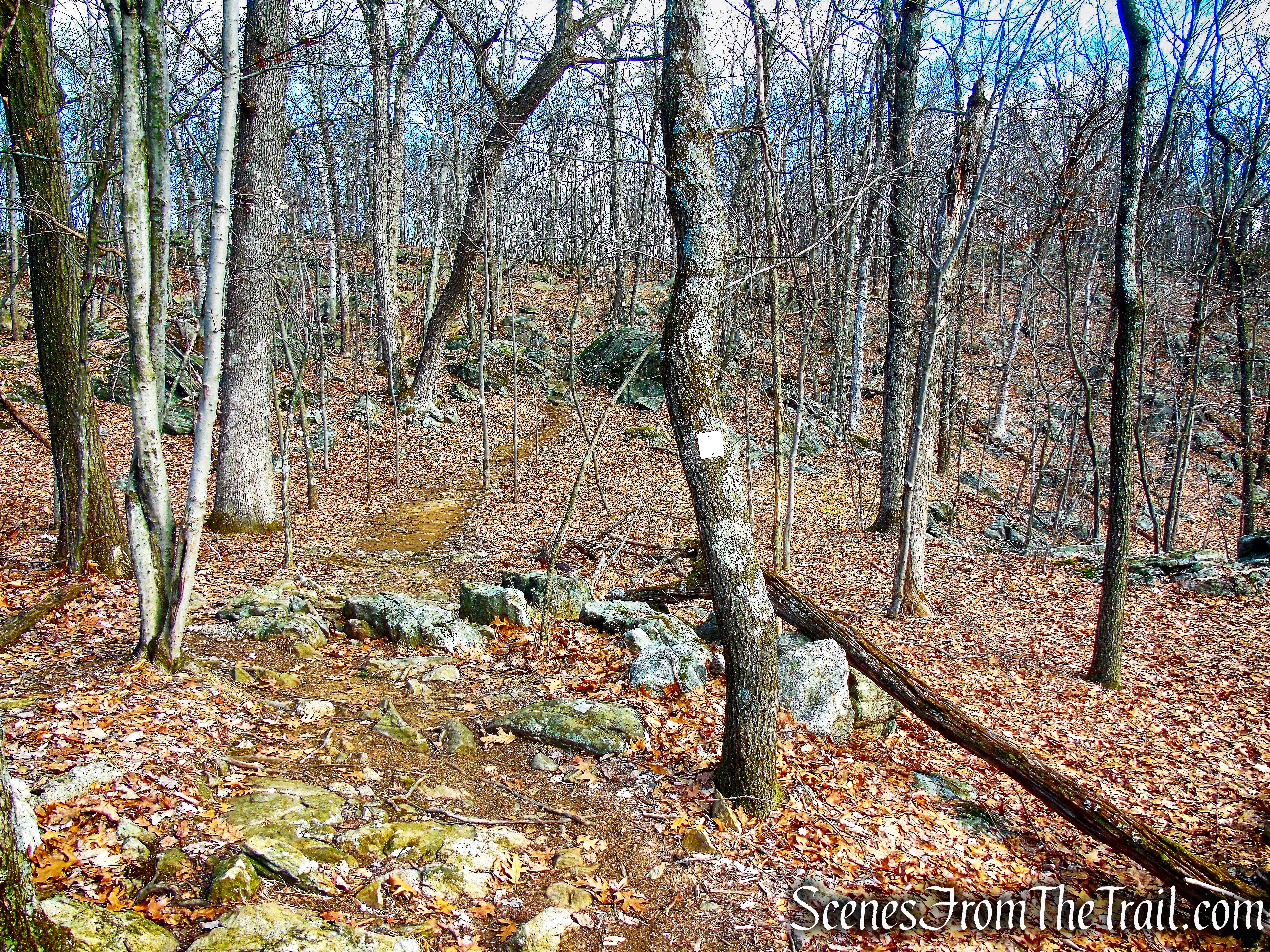 White Trail - Mountain Lakes Park