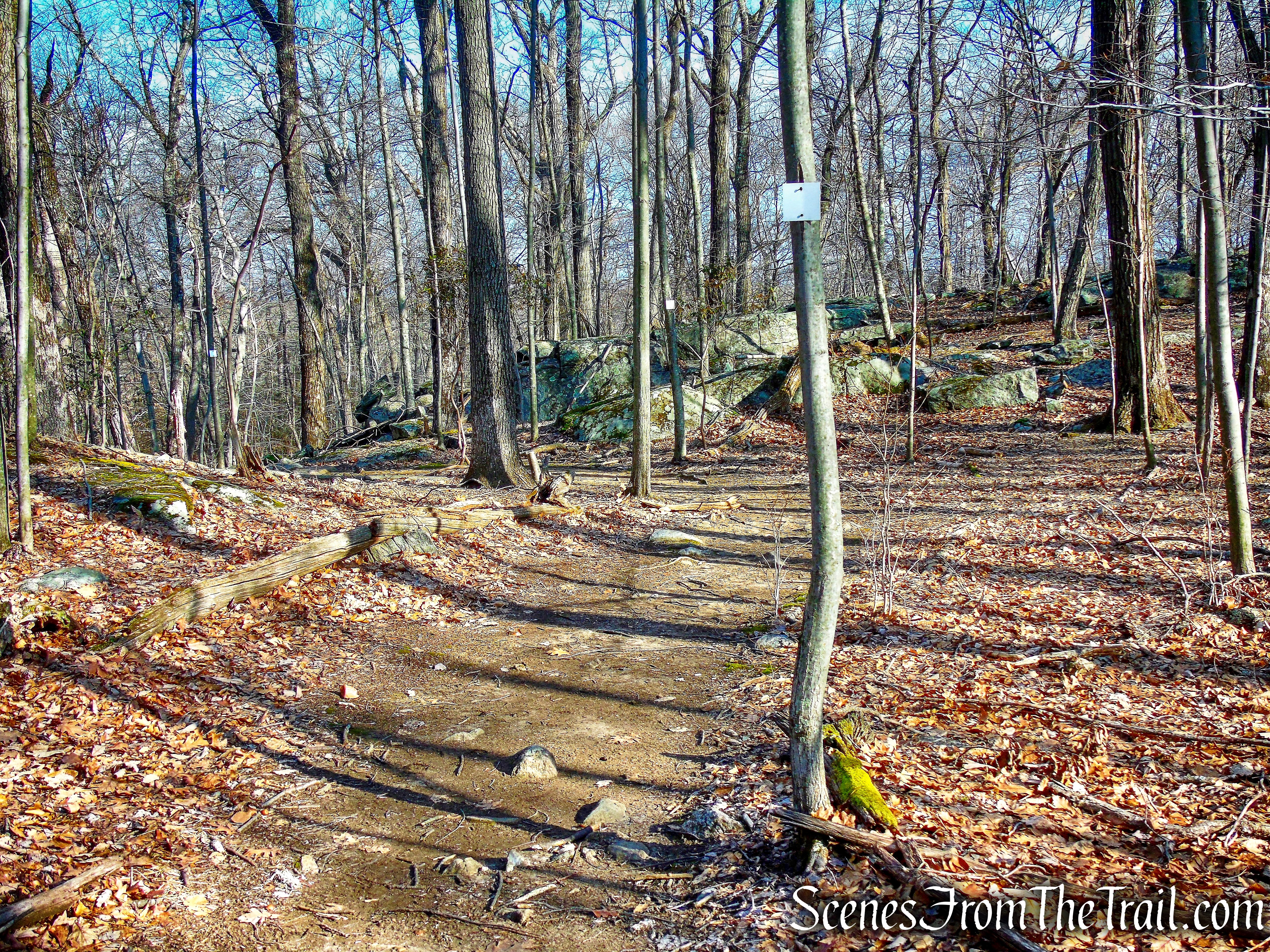 White Trail - Mountain Lakes Park