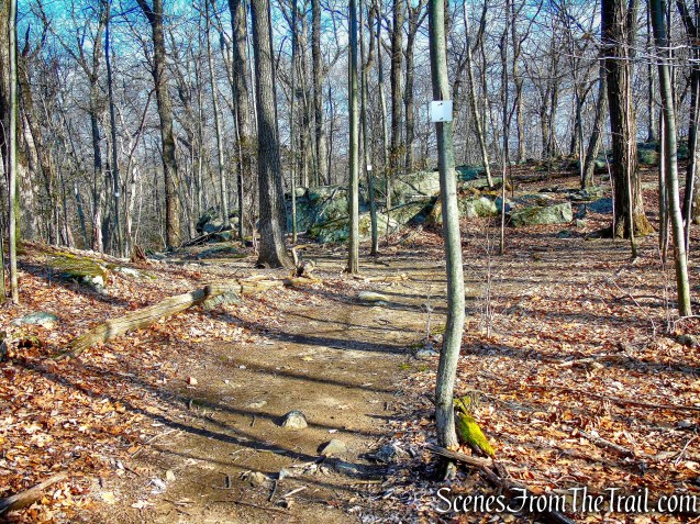 White Trail - Mountain Lakes Park