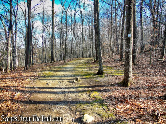 White Trail - Mountain Lakes Park
