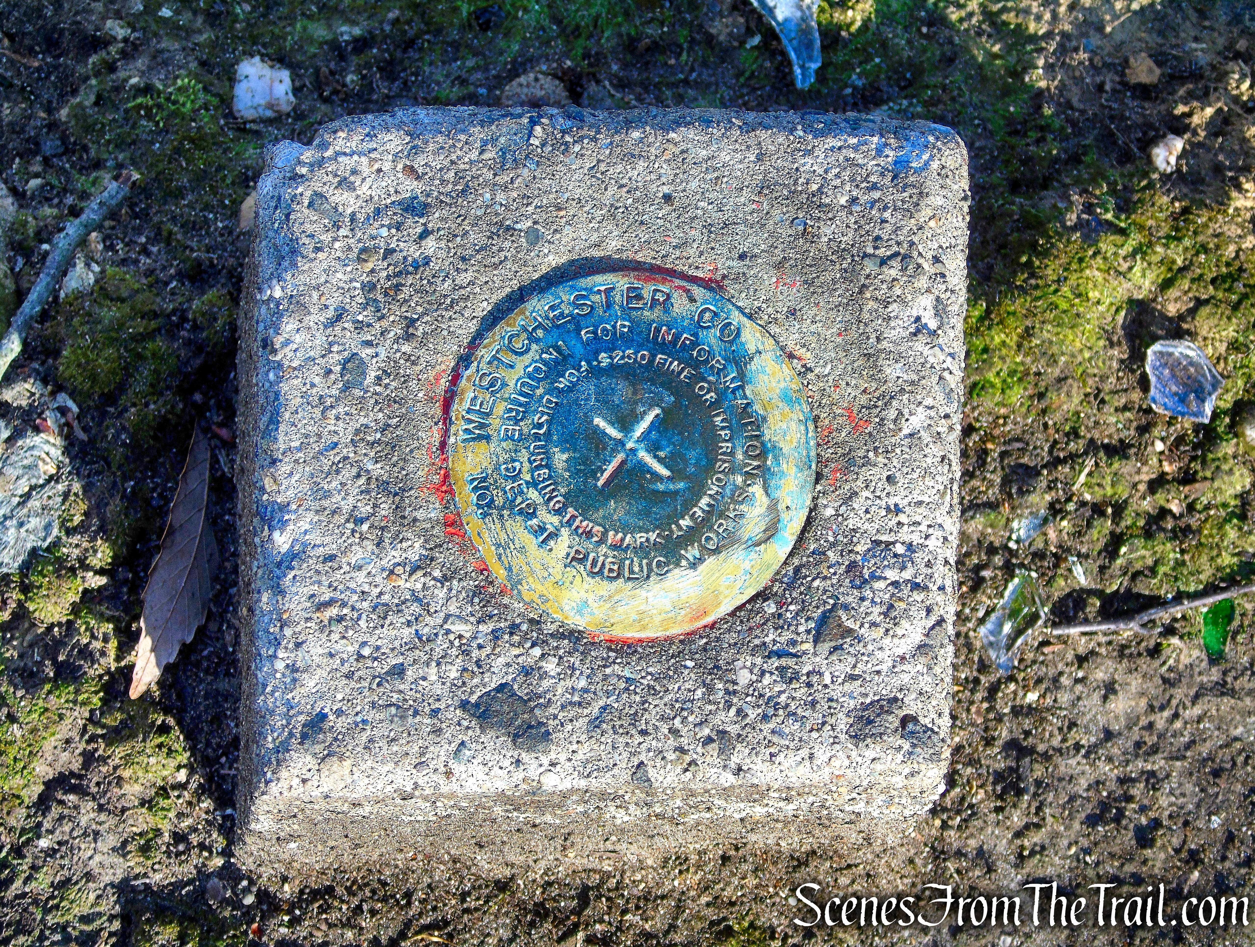 White Trail - Mountain Lakes Park