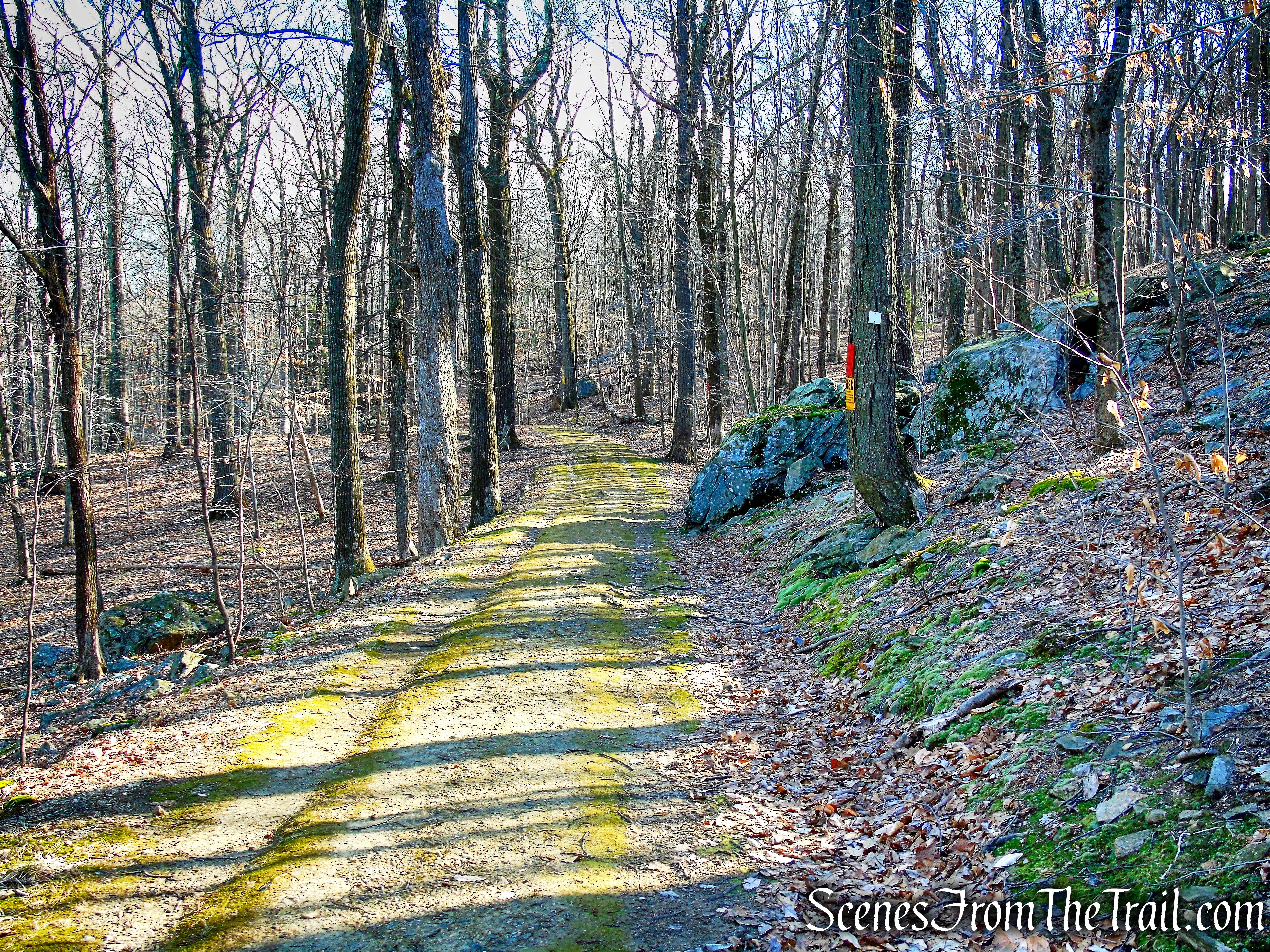 White Trail - Mountain Lakes Park