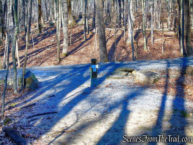 terminus of White Trail - Mountain Lakes Park