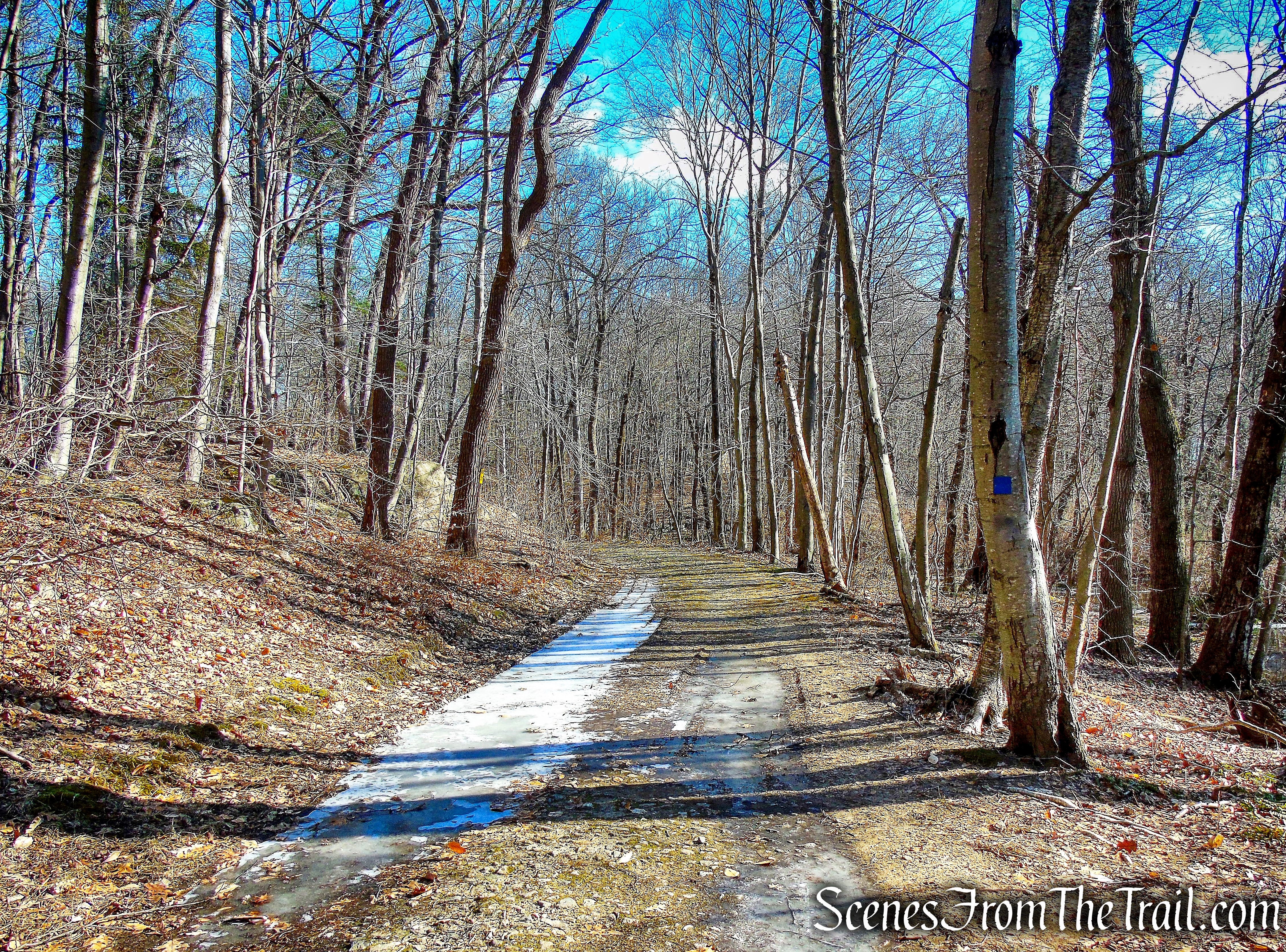 Blue Trail - Mountain Lakes Park