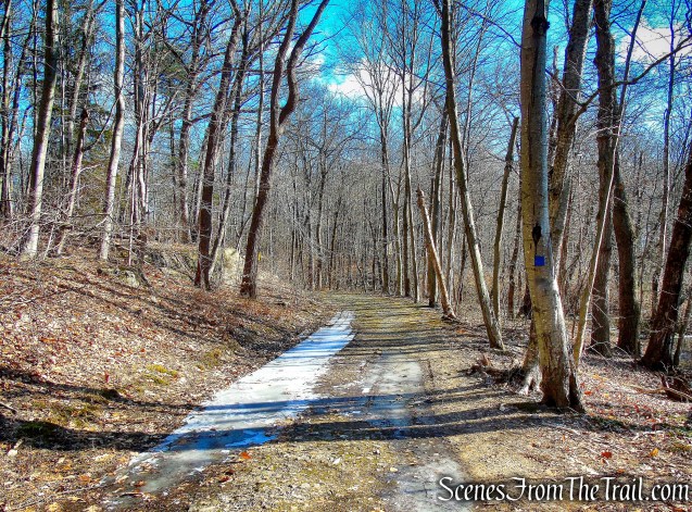 Blue Trail - Mountain Lakes Park