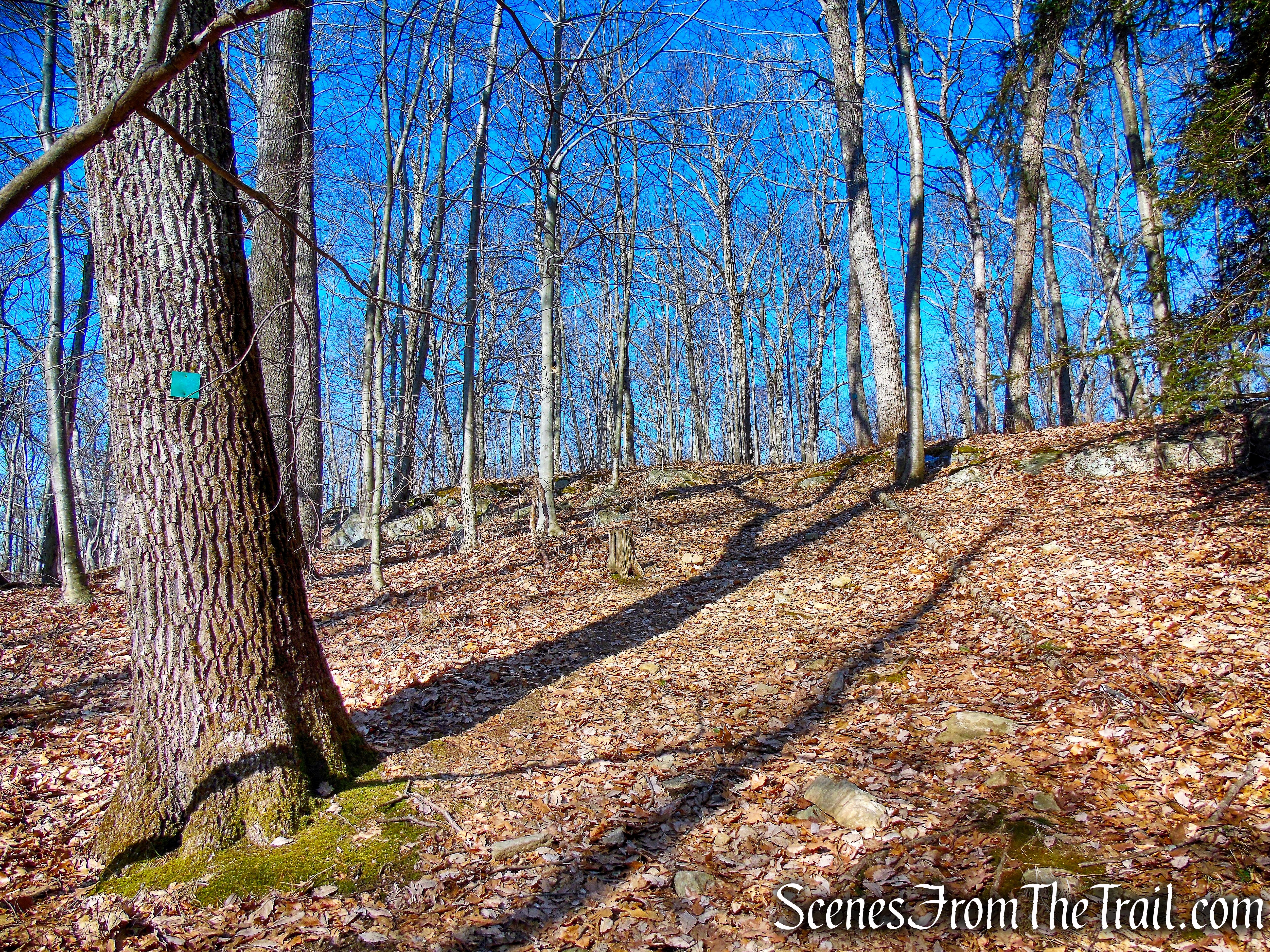 Green Trail - Mountain Lakes Park