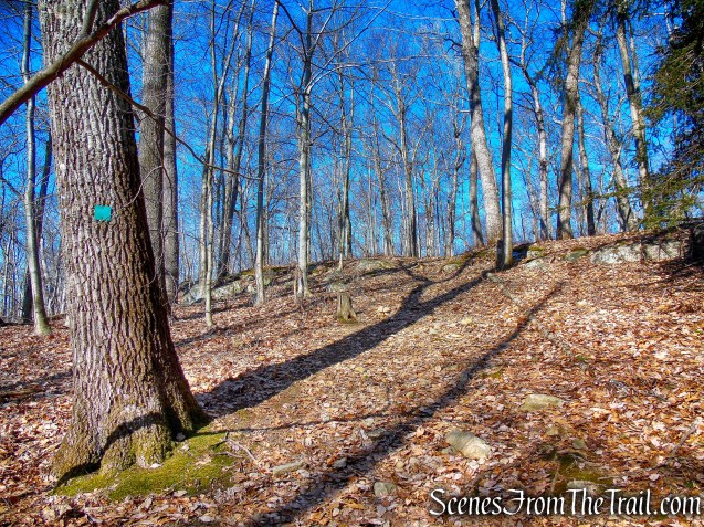 Green Trail - Mountain Lakes Park