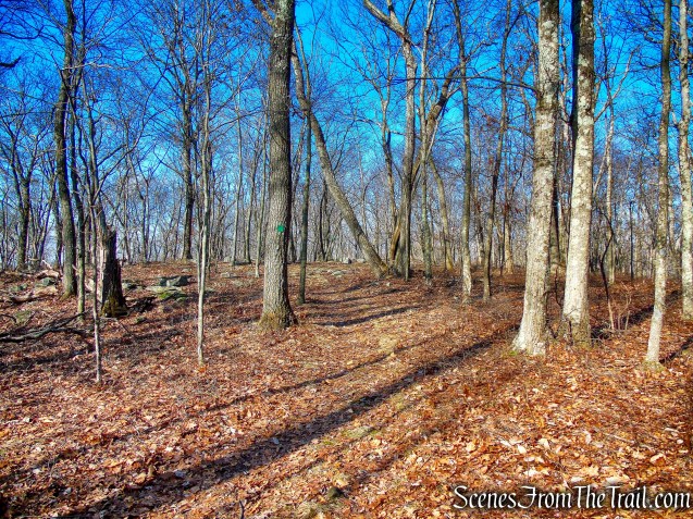 Green Trail - Mountain Lakes Park