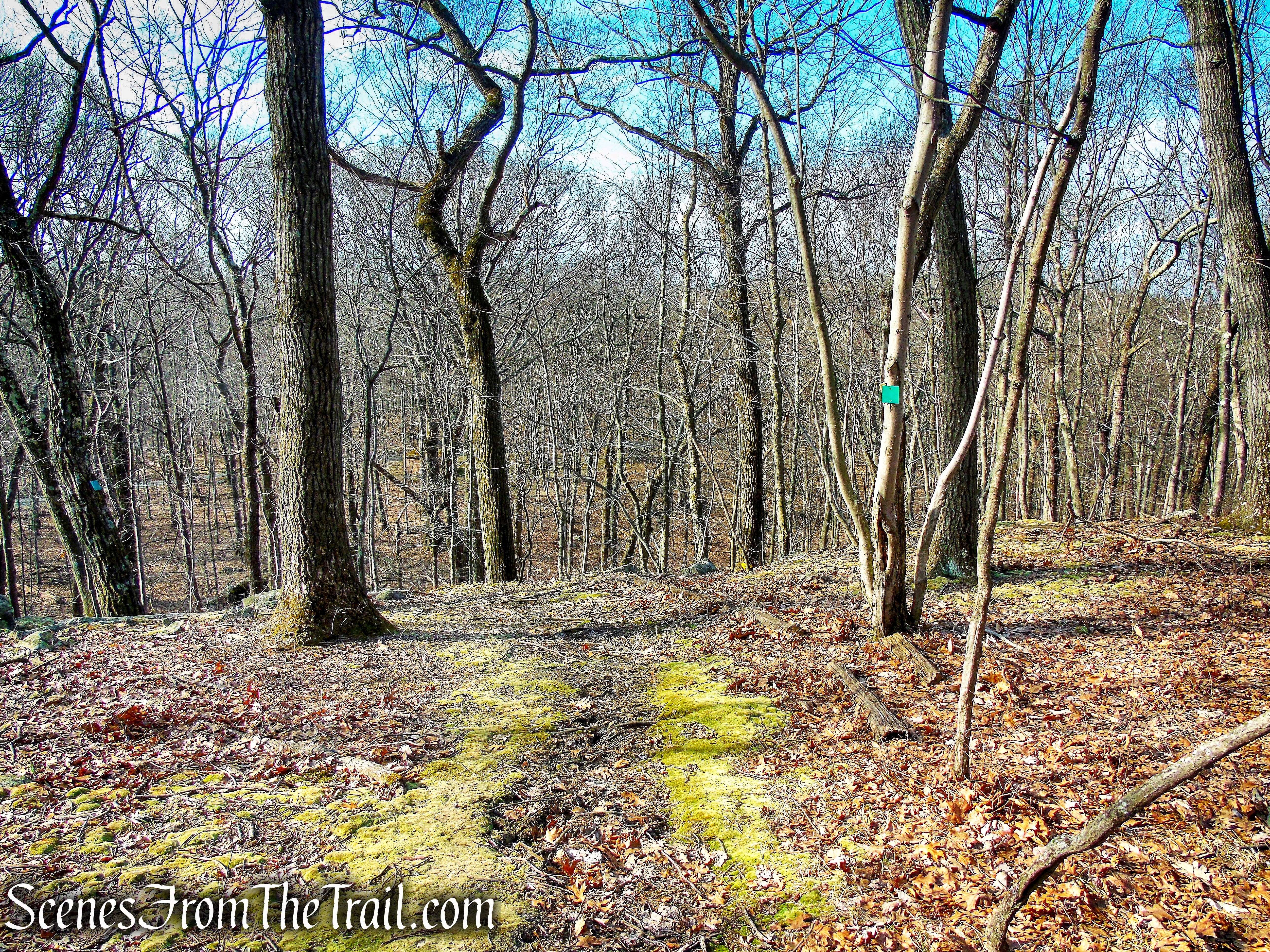 Green Trail - Mountain Lakes Park