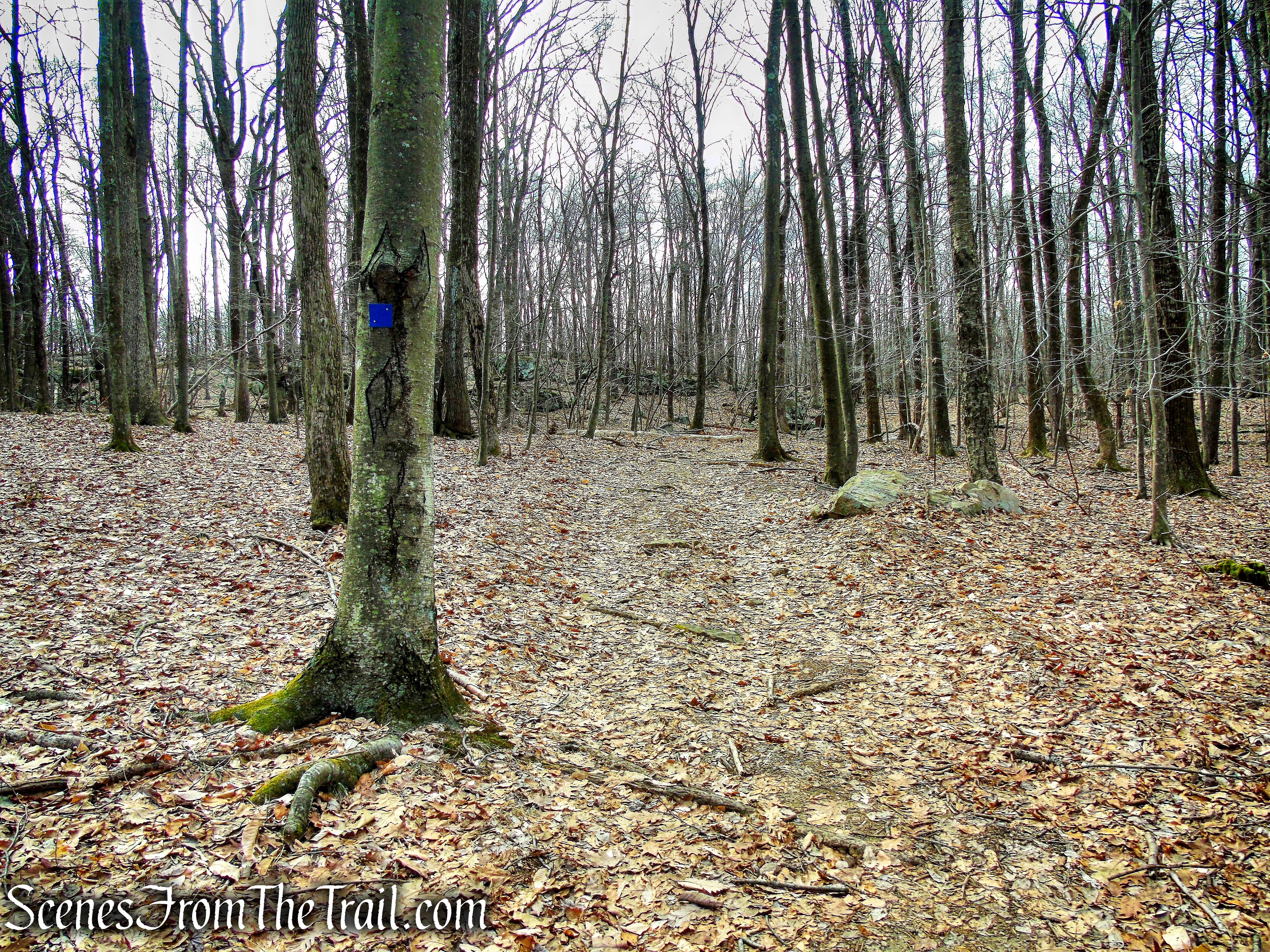 Blue Trail - Mountain Lakes Park
