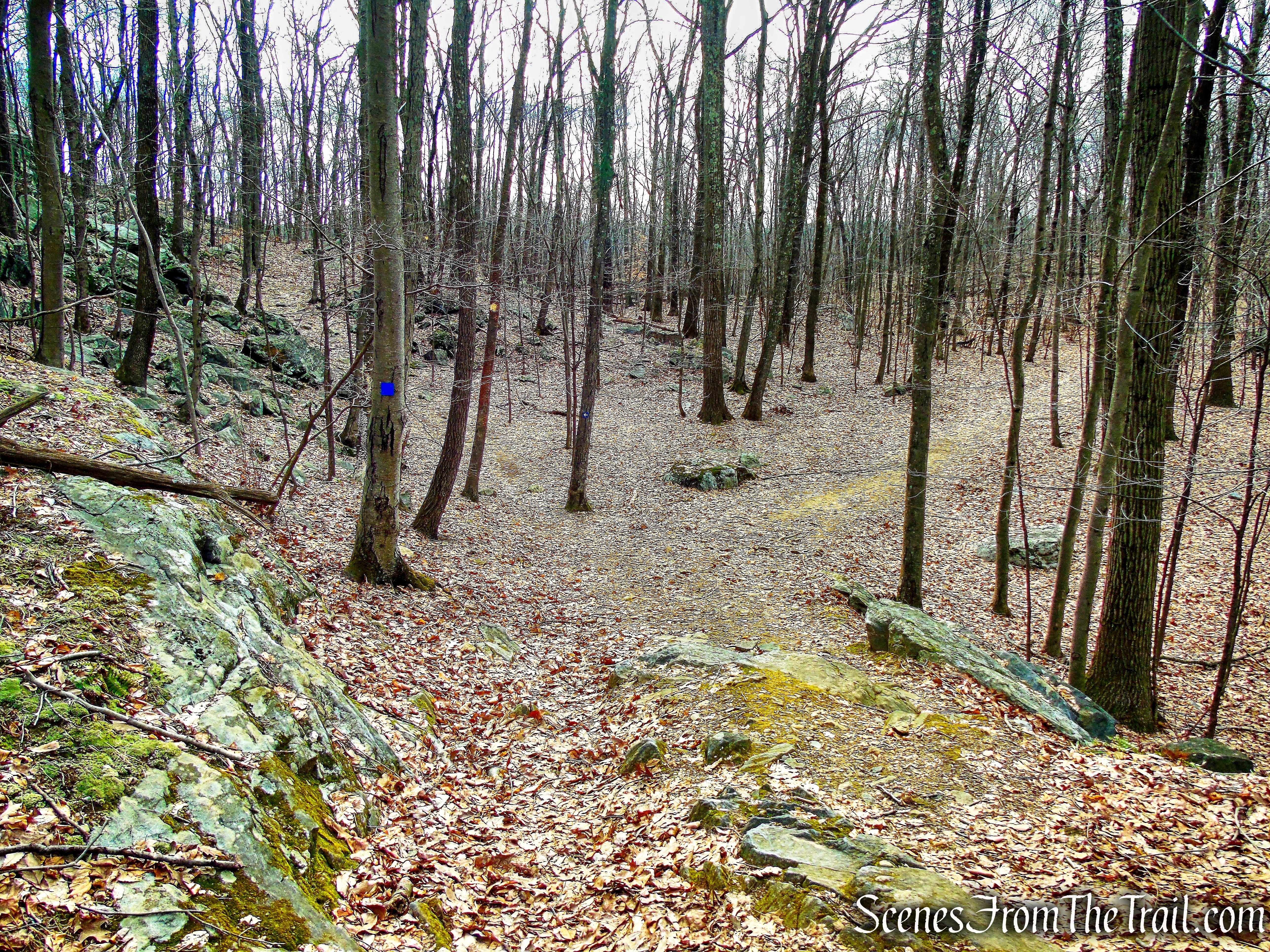 Blue Trail - Mountain Lakes Park