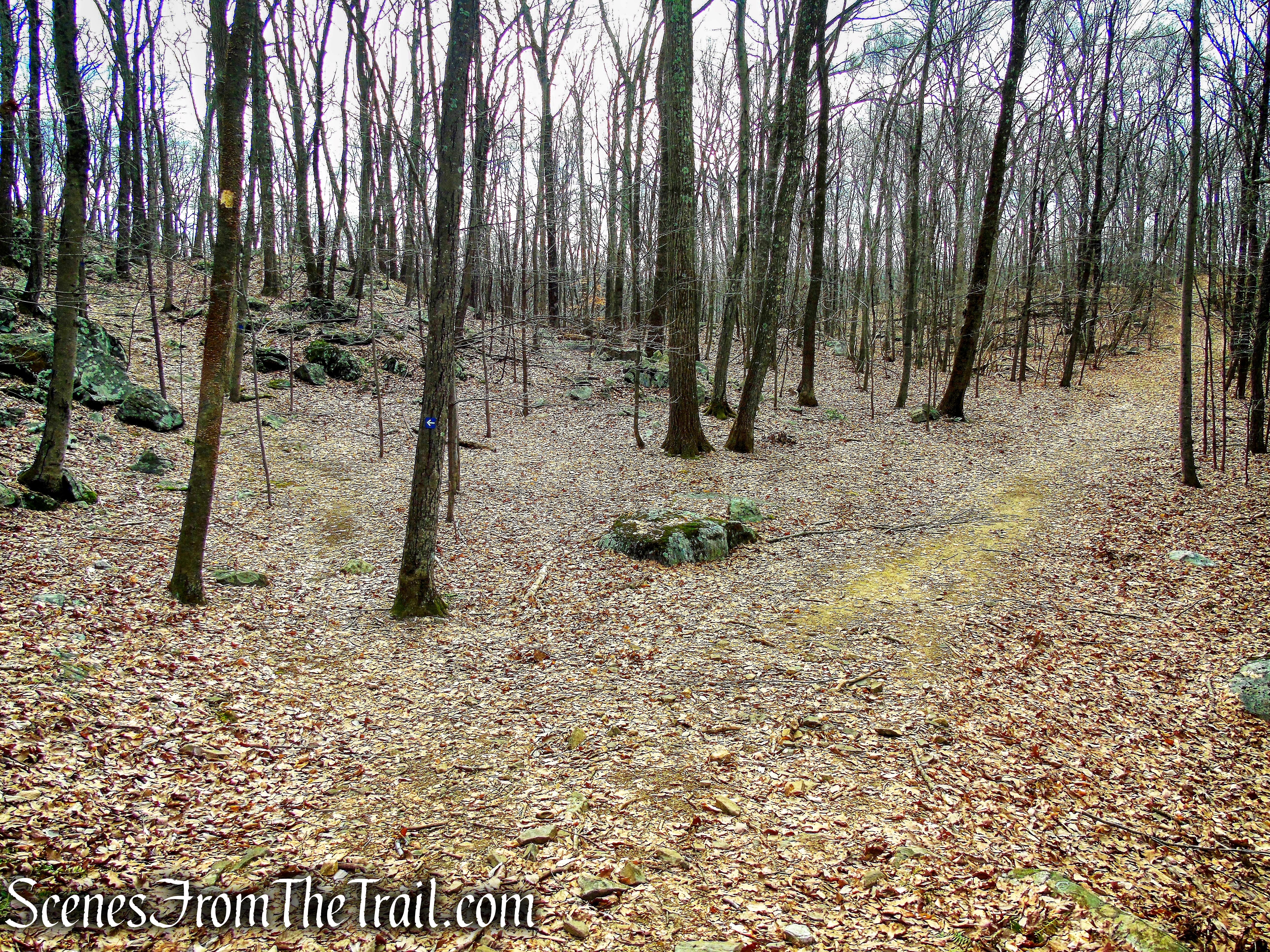 stay left on Blue Trail - Mountain Lakes Park