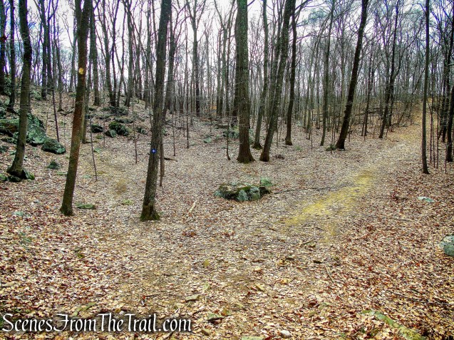 stay left on Blue Trail - Mountain Lakes Park