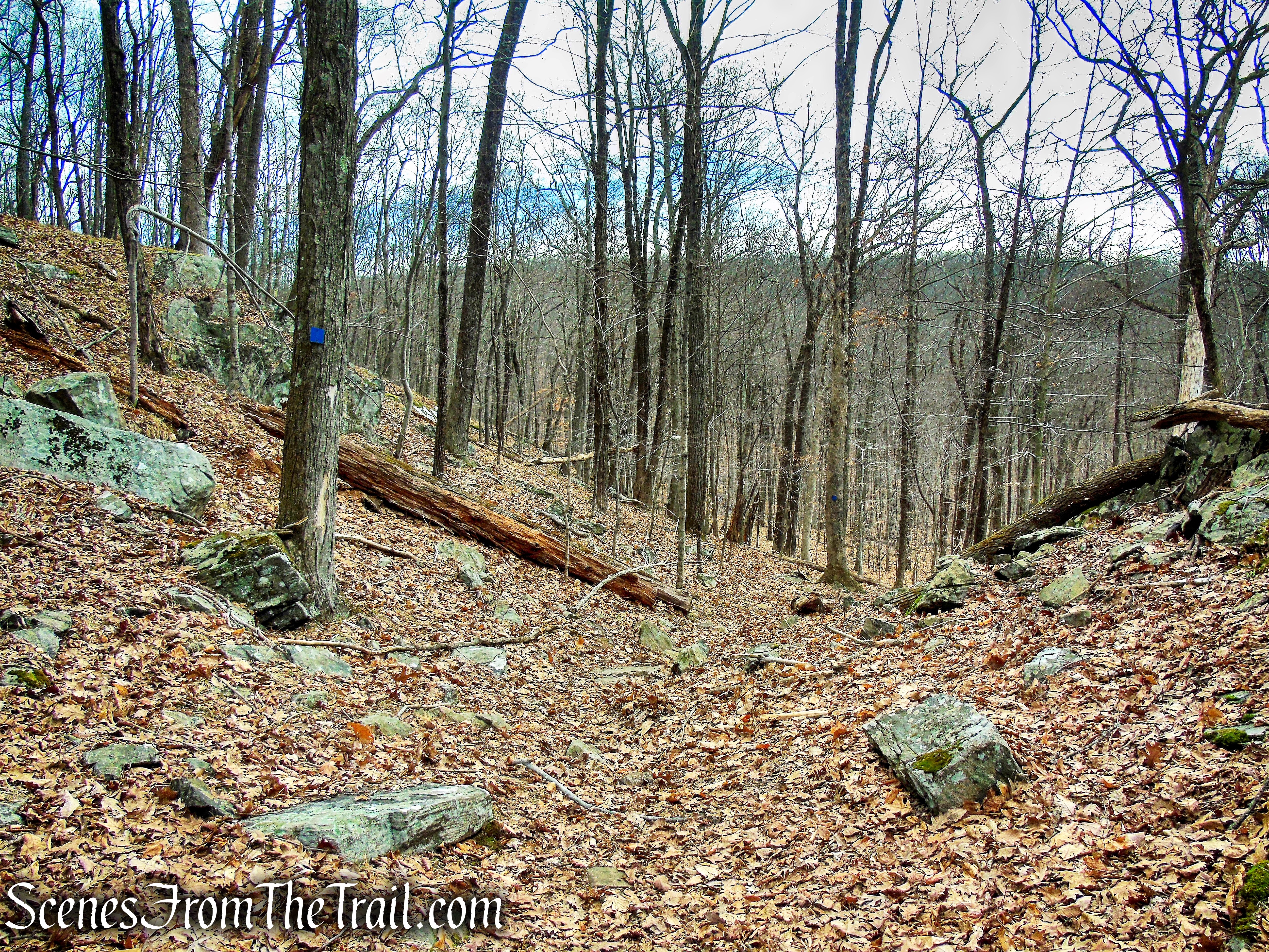 Blue Trail - Mountain Lakes Park