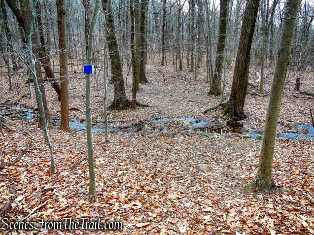 Blue Trail - Mountain Lakes Park