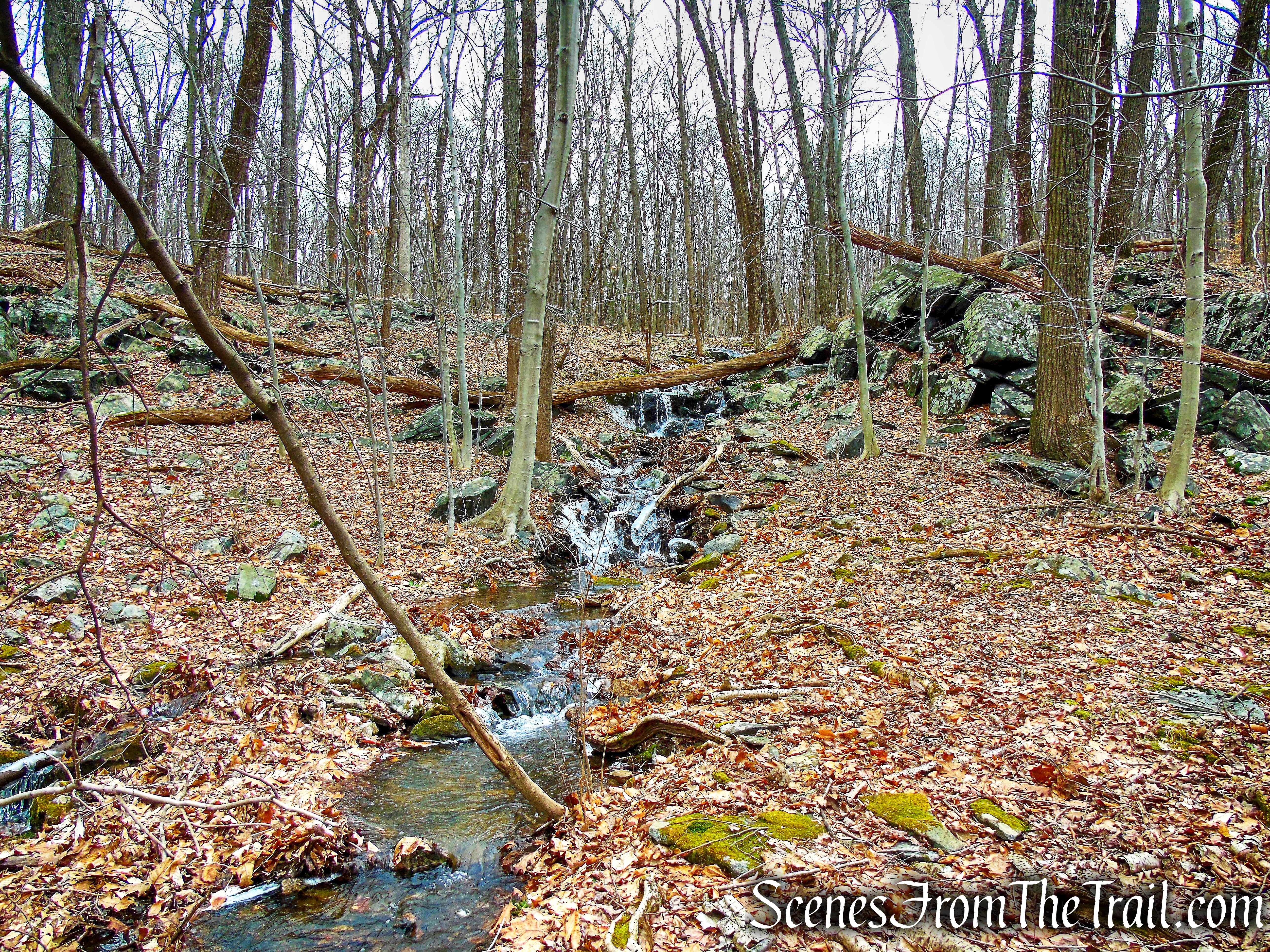 Crook Brook - Blue Trail - Mountain Lakes Park