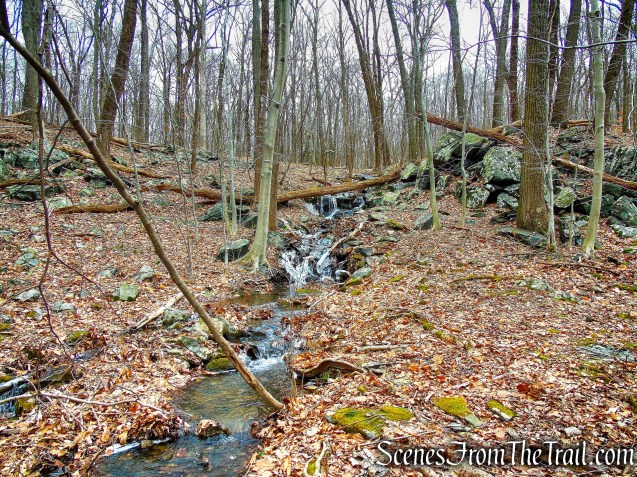 Crook Brook - Blue Trail - Mountain Lakes Park