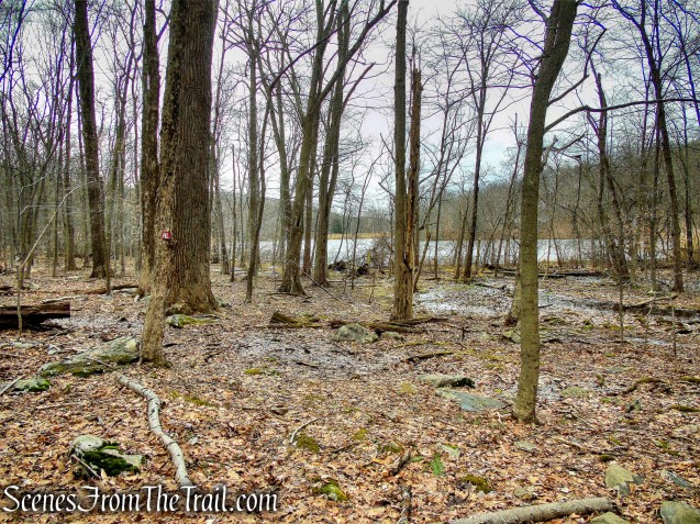 Hemlock Lake Trail - Mountain Lakes Park