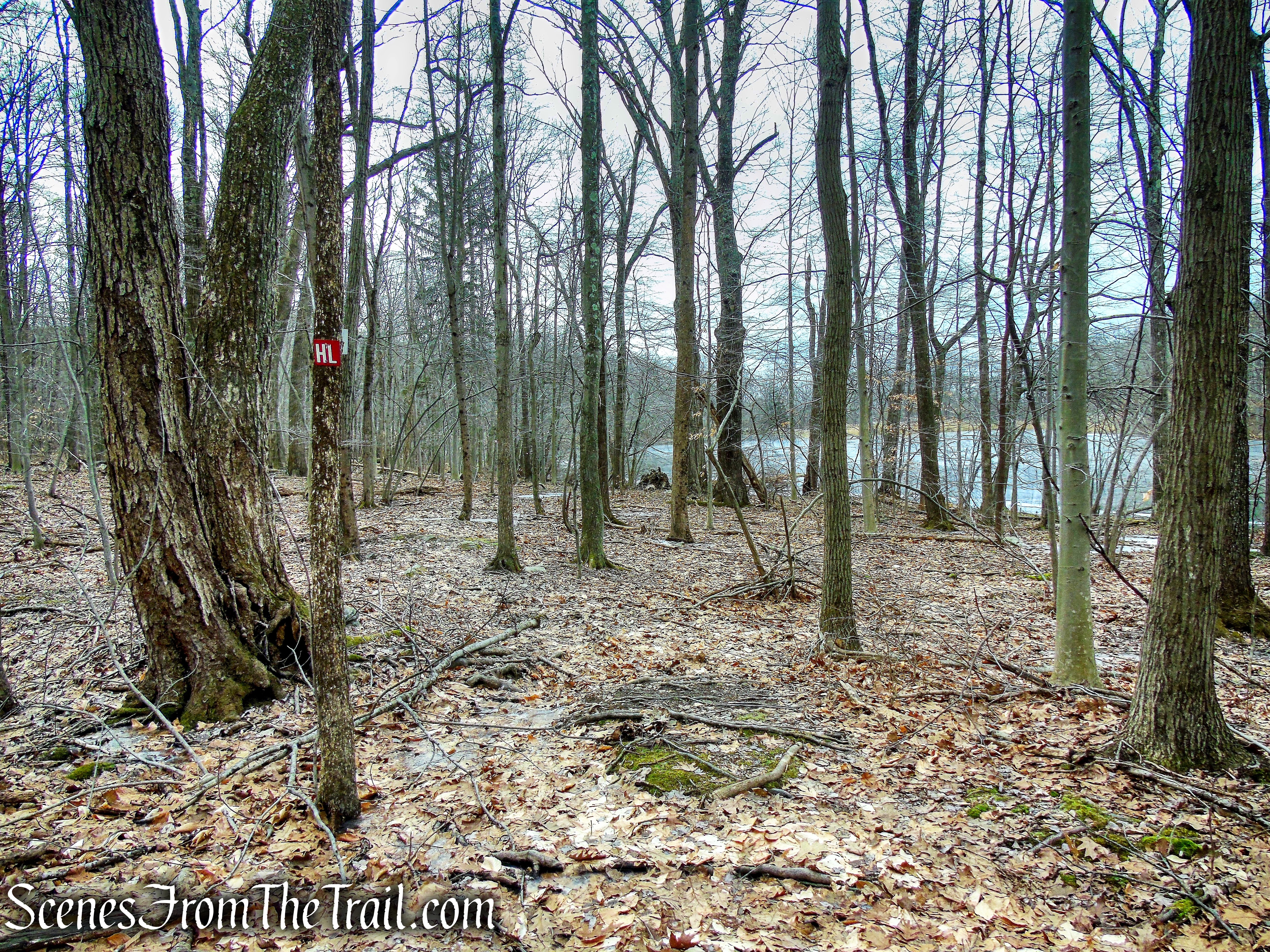 Hemlock Lake Trail - Mountain Lakes Park