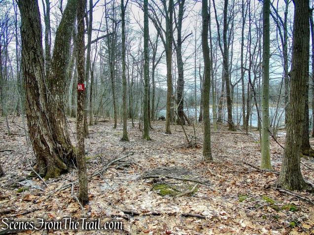 Hemlock Lake Trail - Mountain Lakes Park
