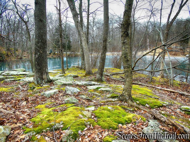 Hemlock Lake Trail - Mountain Lakes Park