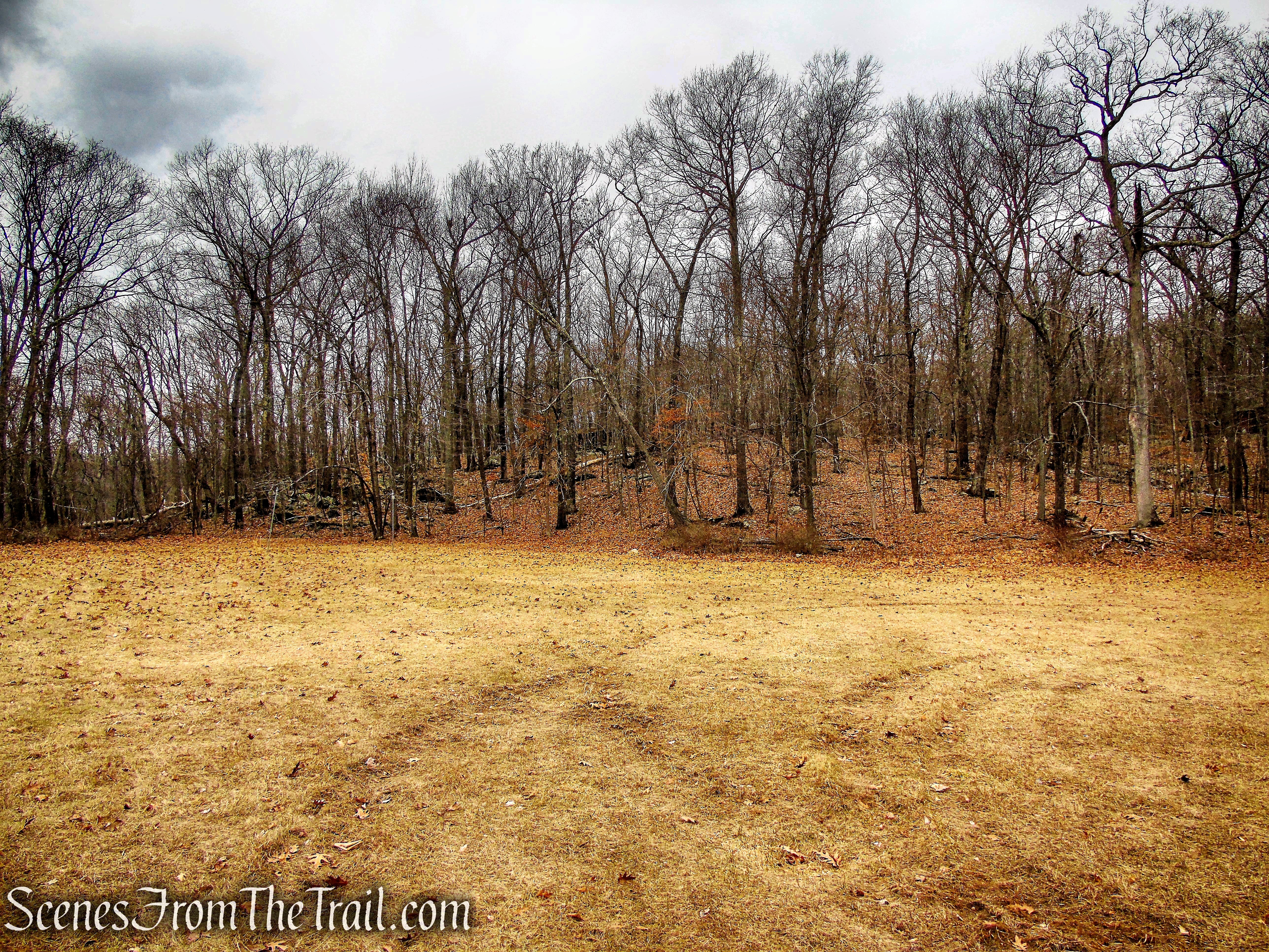 open field - Mountain Lakes Park