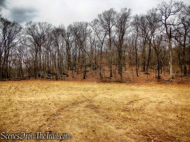 open field - Mountain Lakes Park