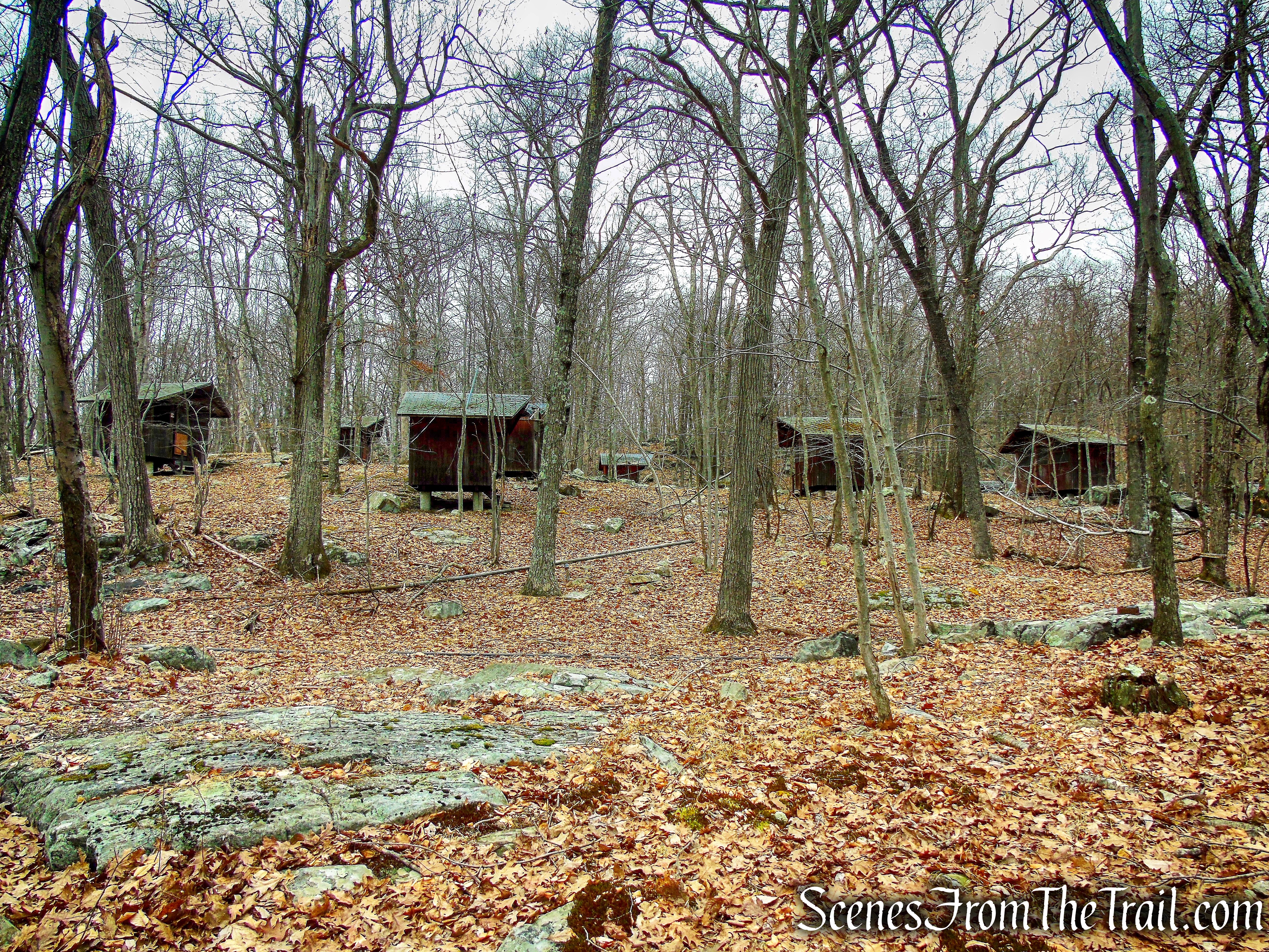 bushwack - Mountain Lakes Park