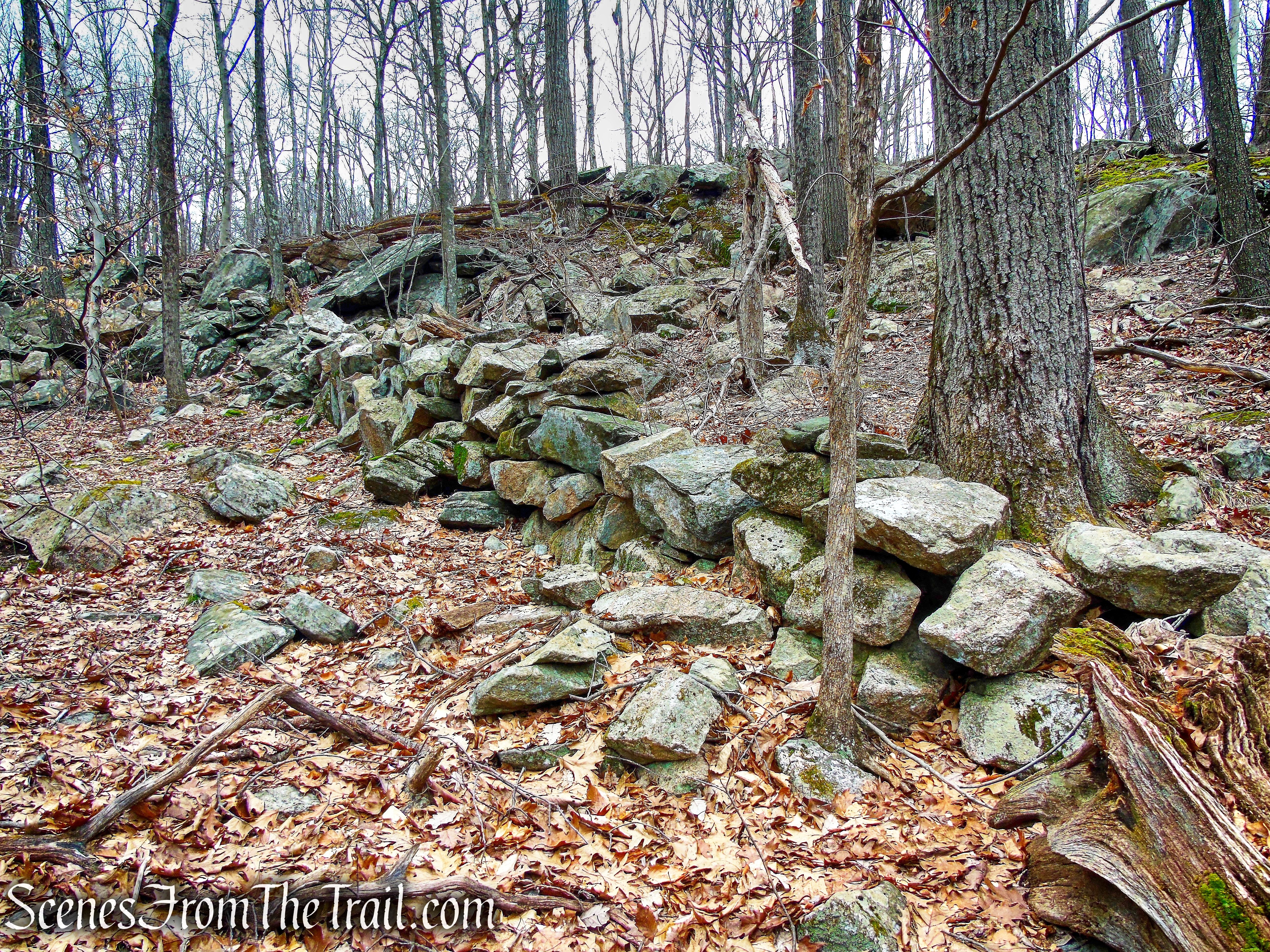 bushwack - Mountain Lakes Park