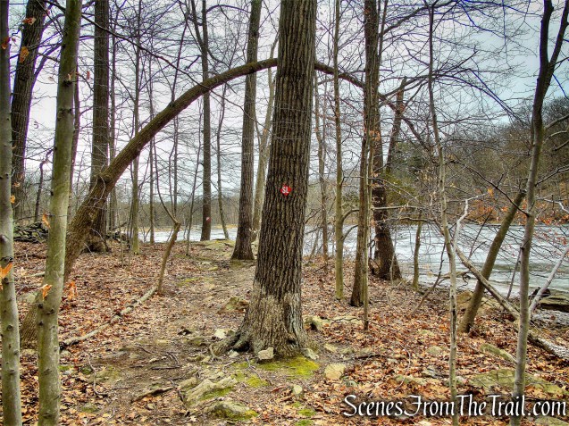 Spruce Lake Trail - Mountain Lakes Park