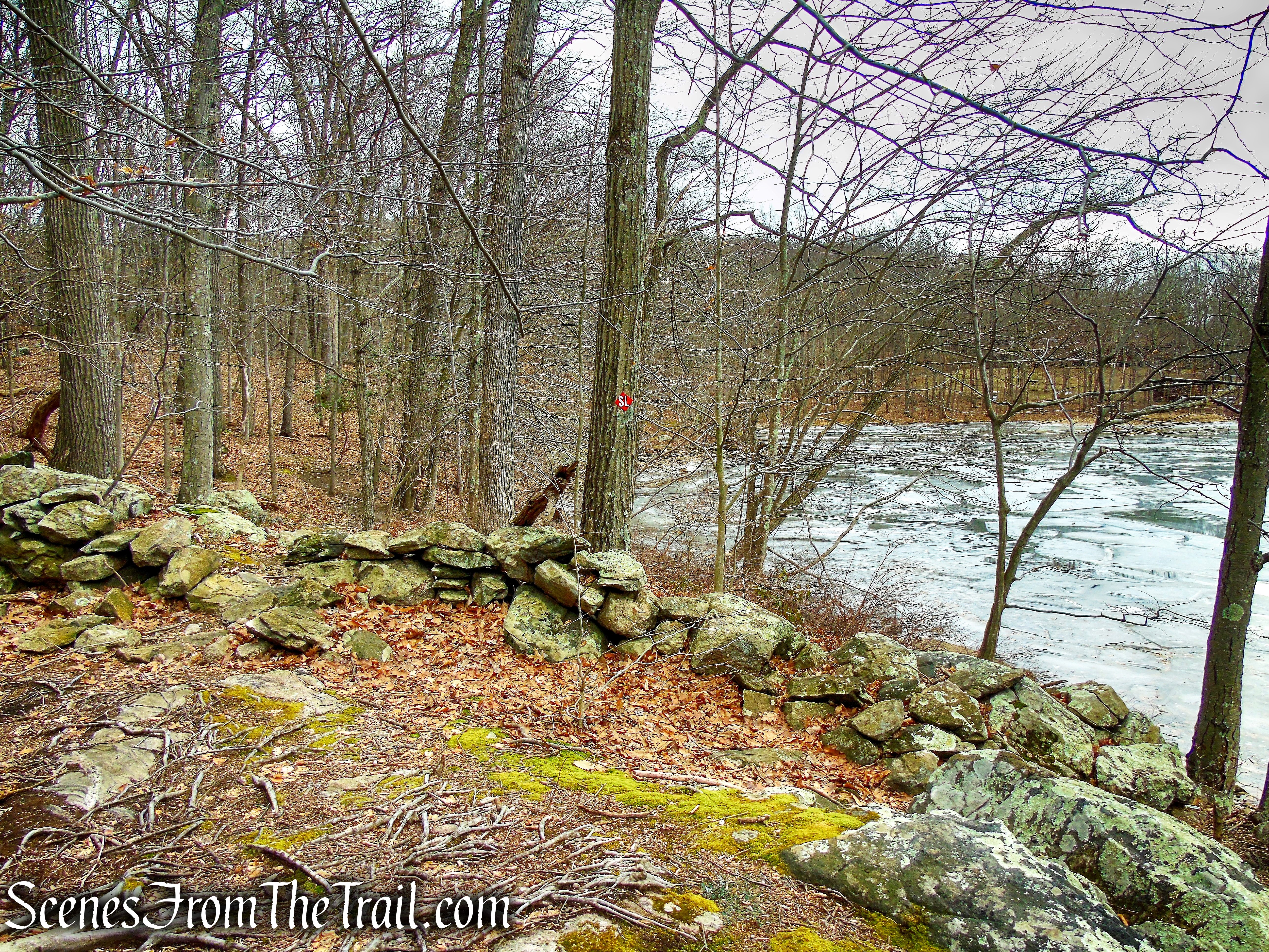 Spruce Lake Trail - Mountain Lakes Park