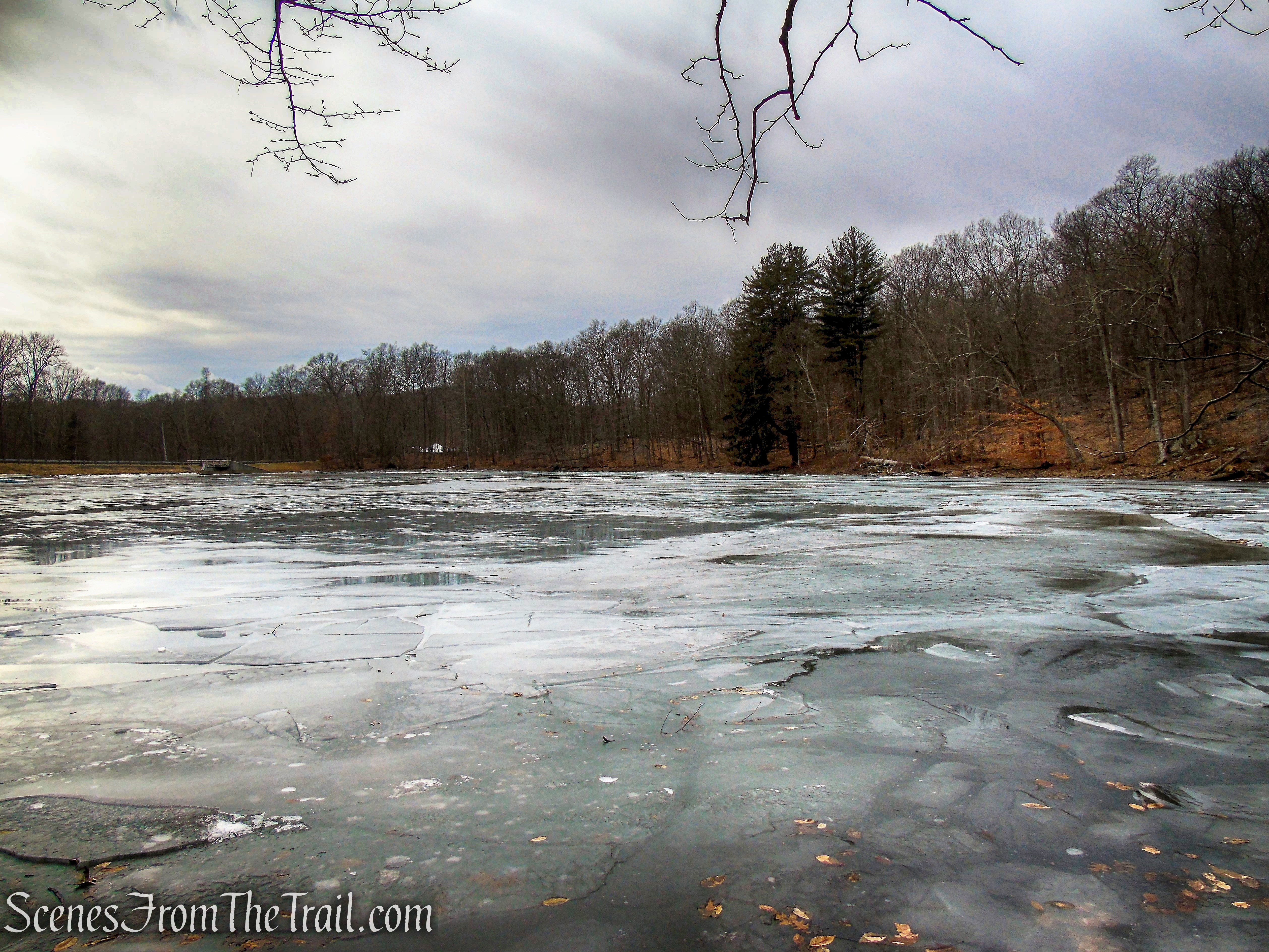 Spruce Lake - Mountain Lakes Park