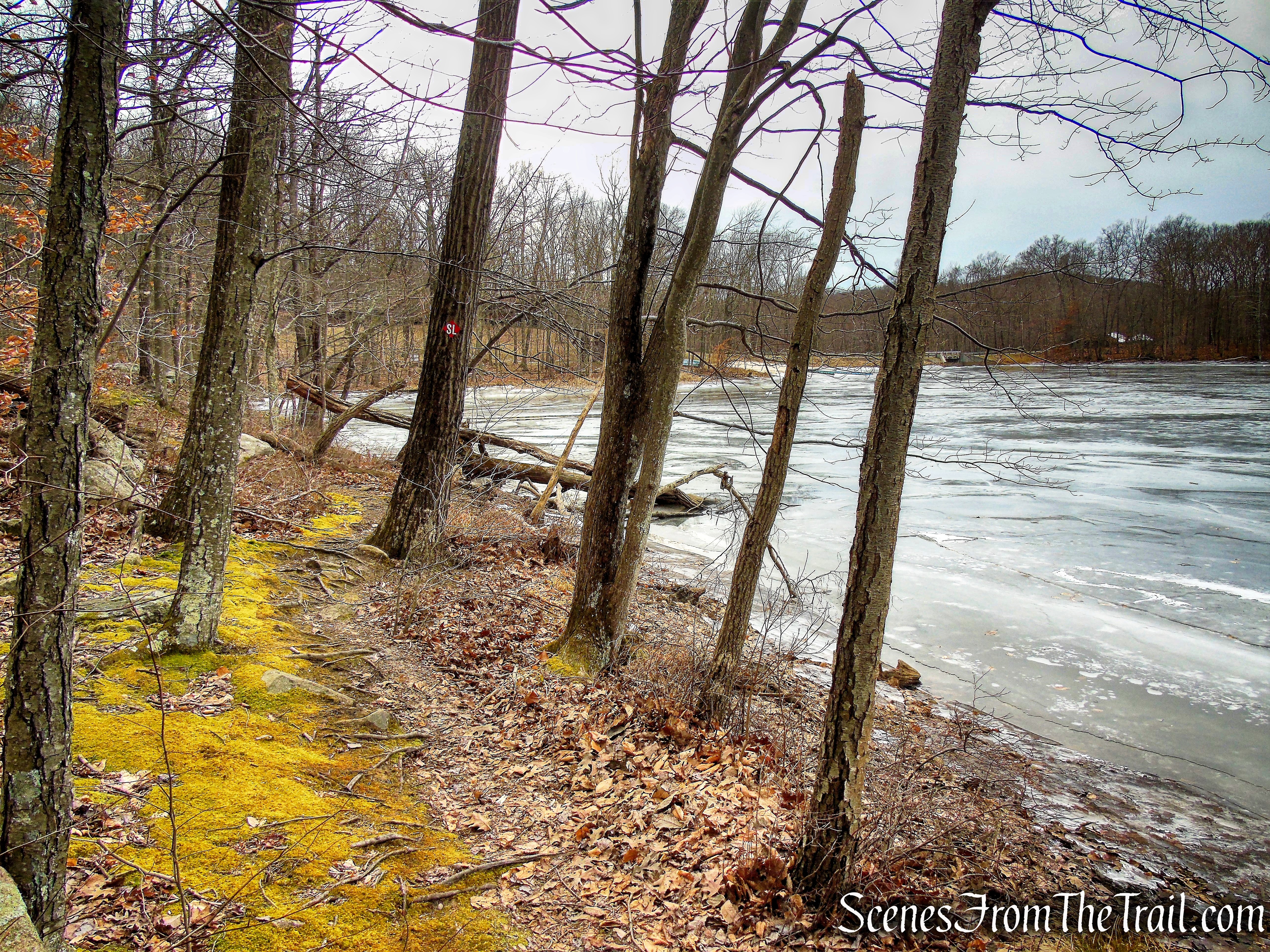Spruce Lake Trail - Mountain Lakes Park
