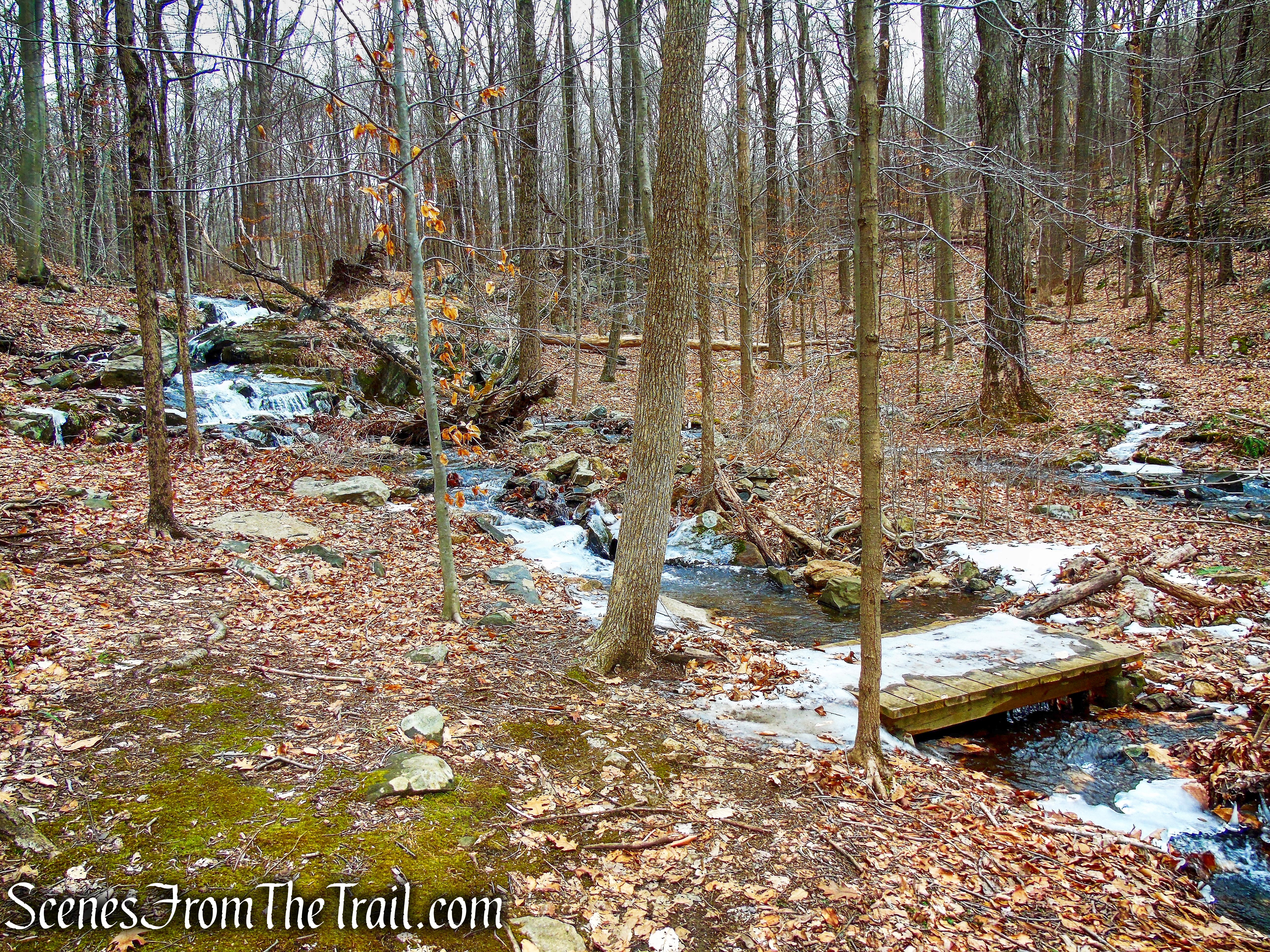 Spruce Lake Trail - Mountain Lakes Park