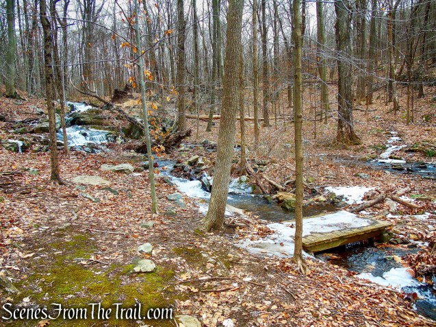 Spruce Lake Trail - Mountain Lakes Park