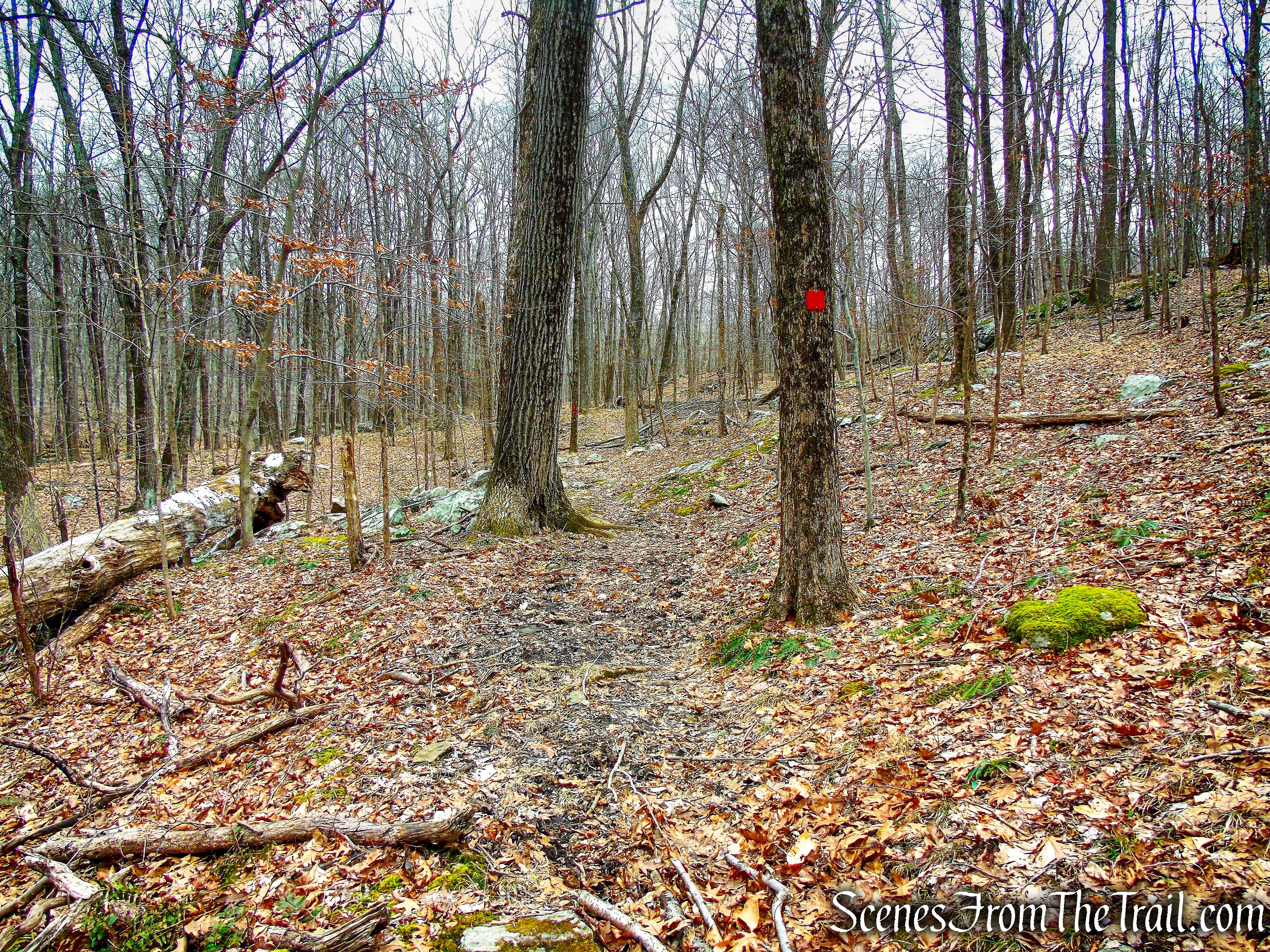 Red Trail - Mountain Lakes Park