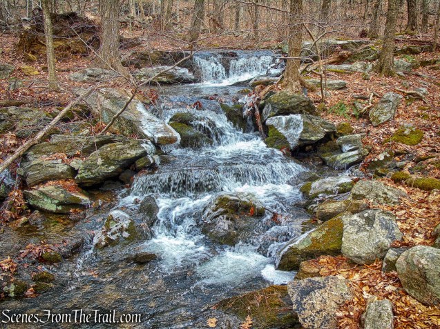 Crook Brook - Red Trail - Mountain Lakes Park