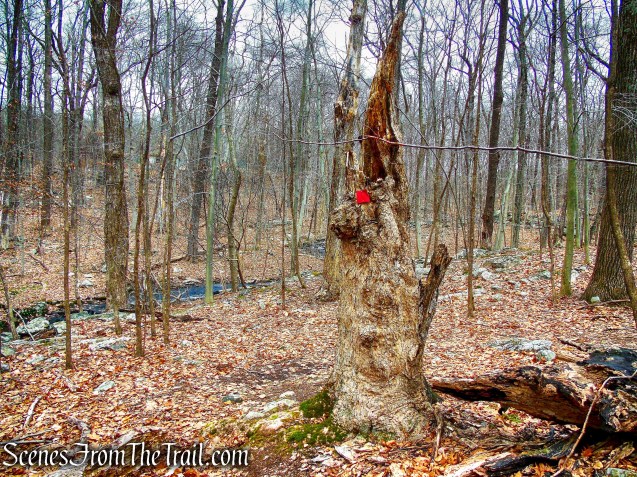 Red Trail - Mountain Lakes Park