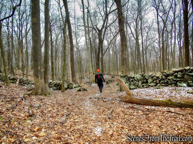 Halmi, Hearst-Mead, and O'Donohue Preserves