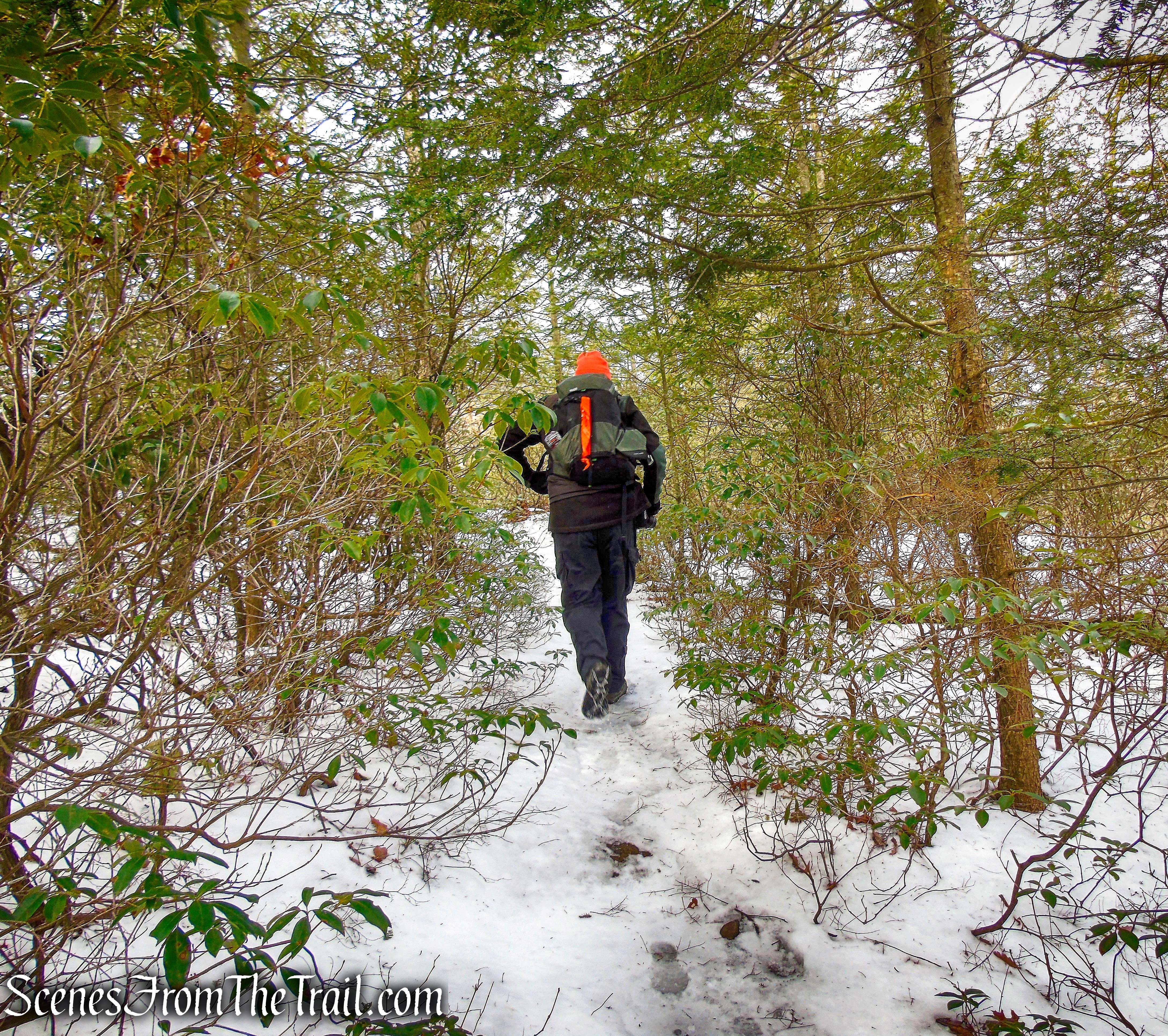 Anthony’s Nose from South Mountain Pass