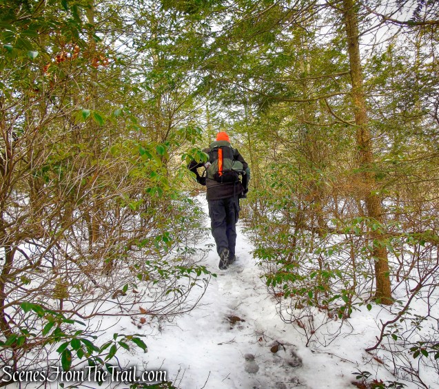 Anthony’s Nose from South Mountain Pass