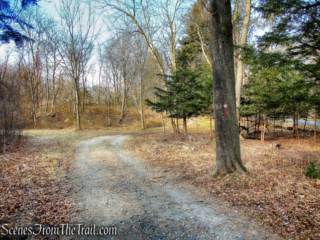 Red Trail - Hart's Brook Park and Preserve