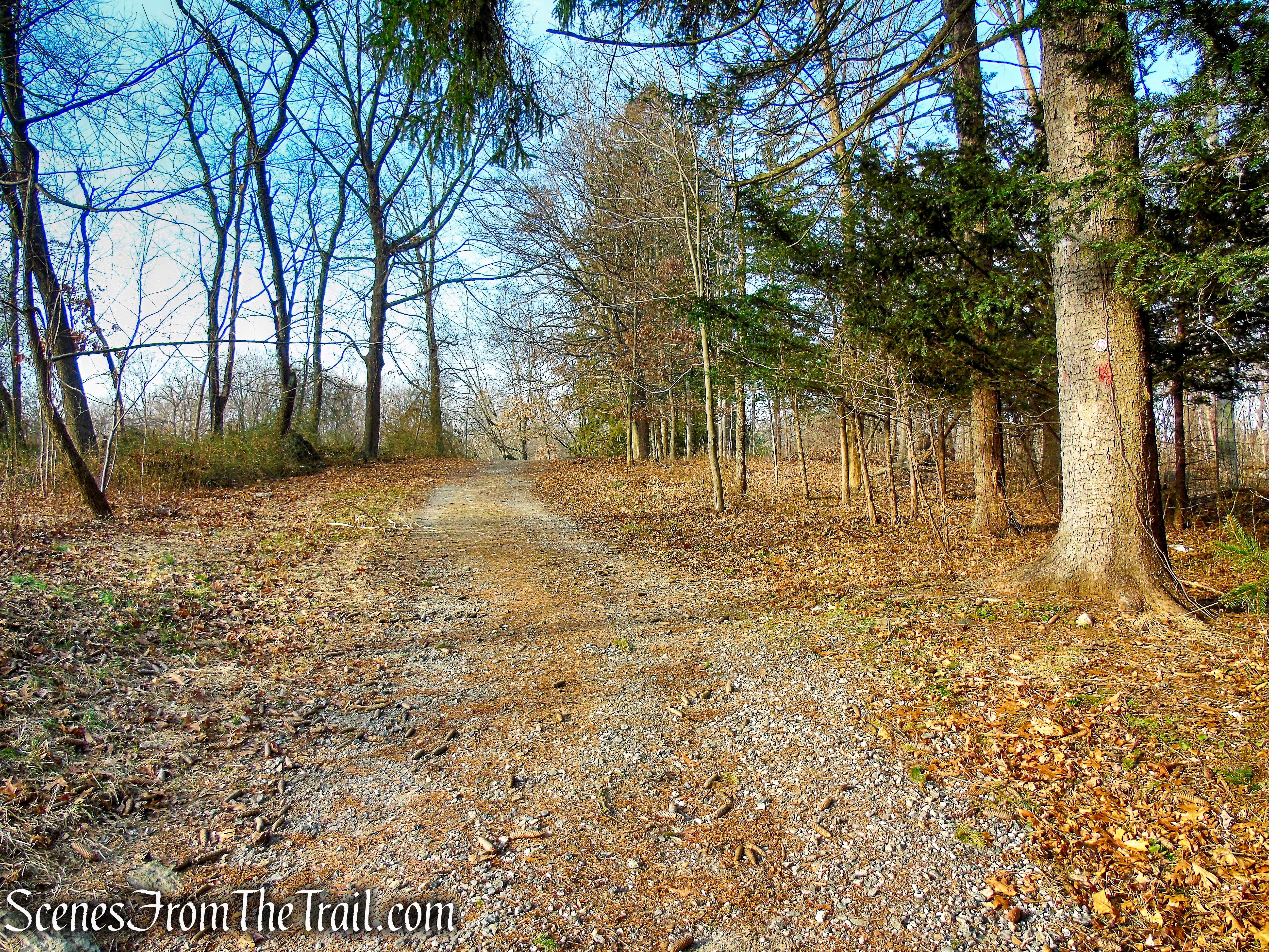 Red Trail - Hart's Brook Park and Preserve