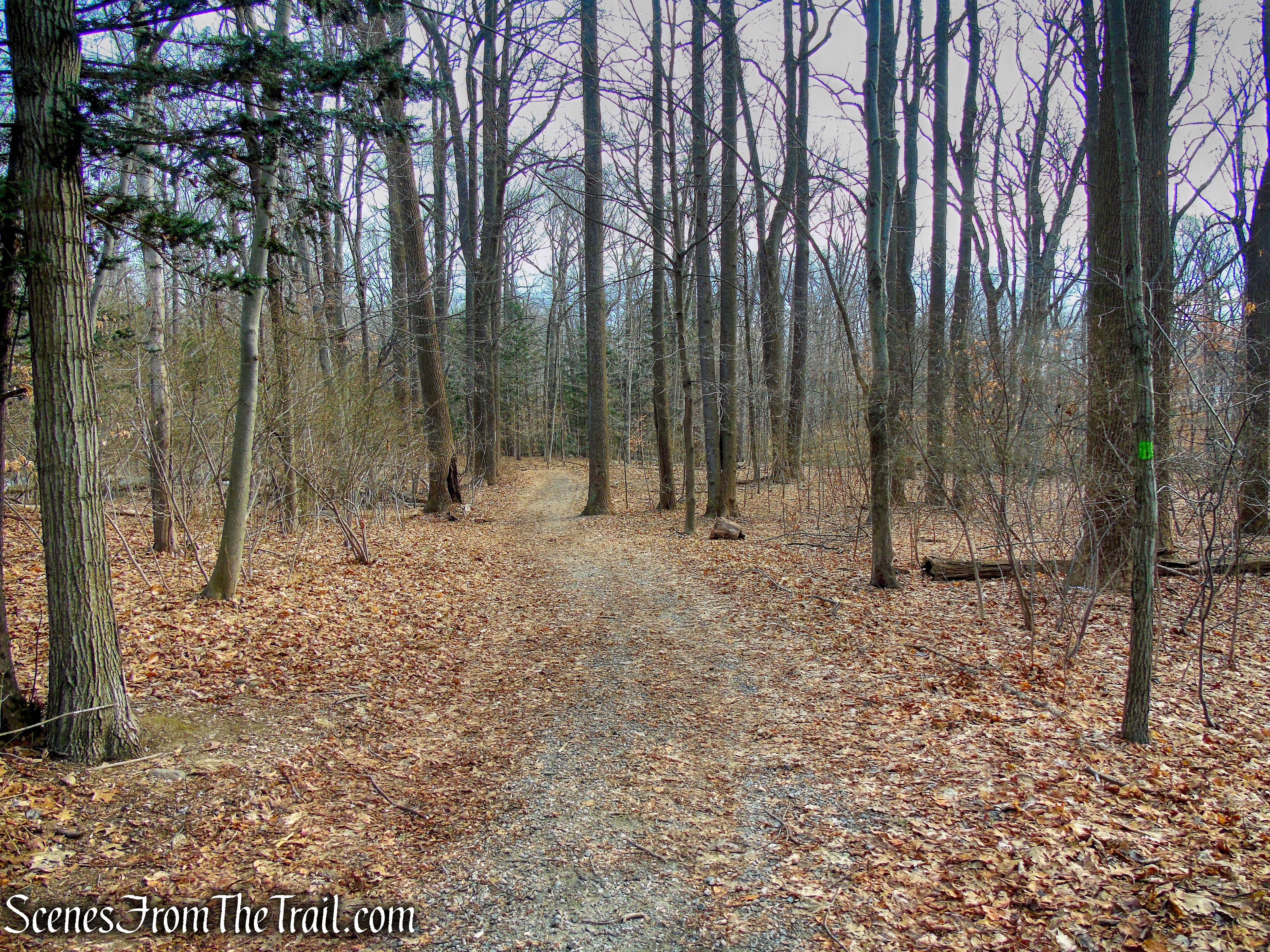 Green Trail - Hart's Brook Park and Preserve
