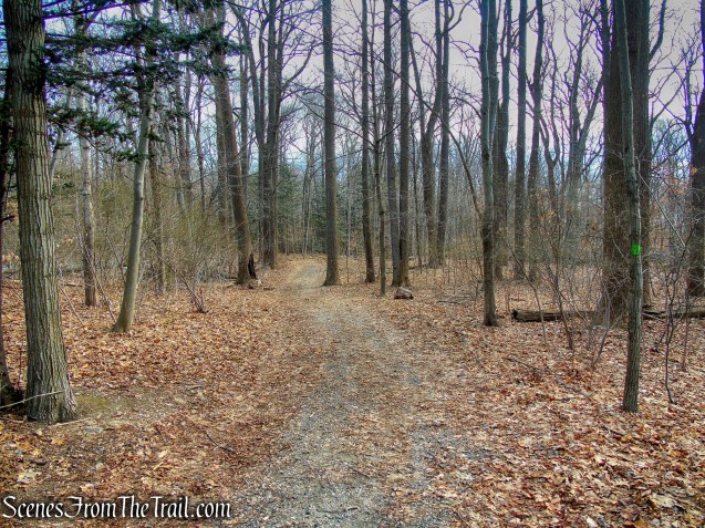 Green Trail - Hart's Brook Park and Preserve