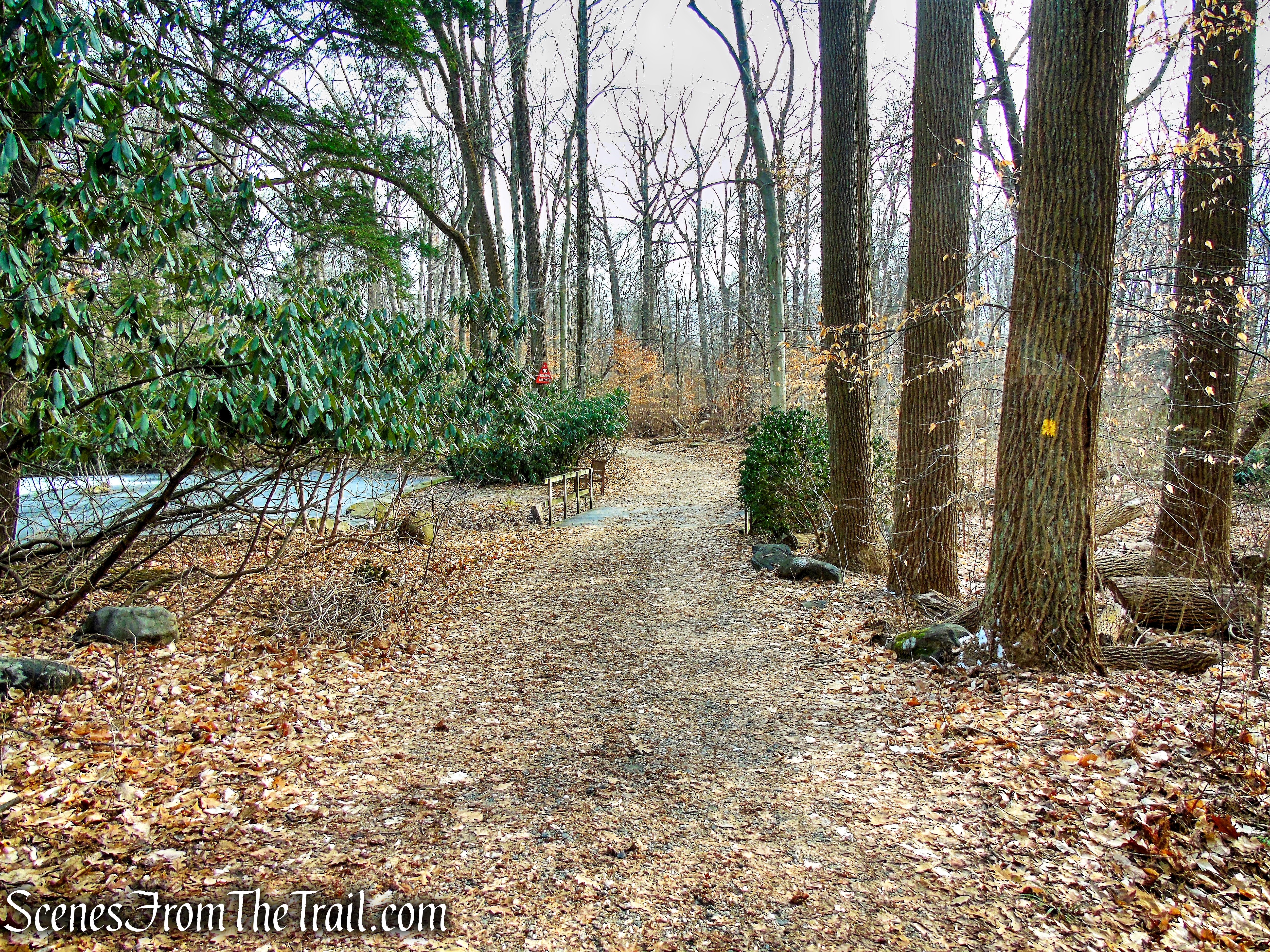 Yellow Trail - Hart's Brook Park and Preserve