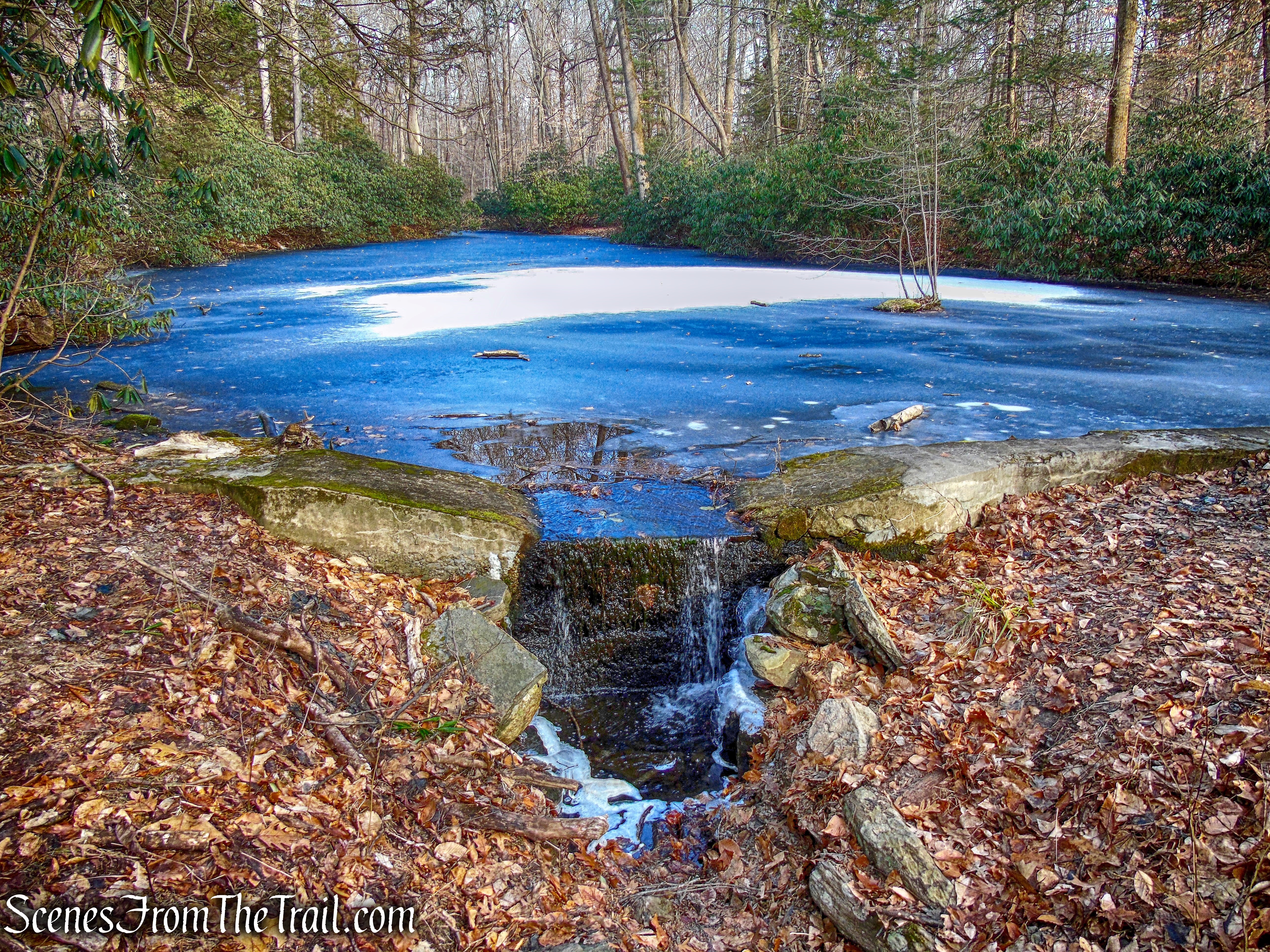 Yellow Trail - Hart's Brook Park and Preserve