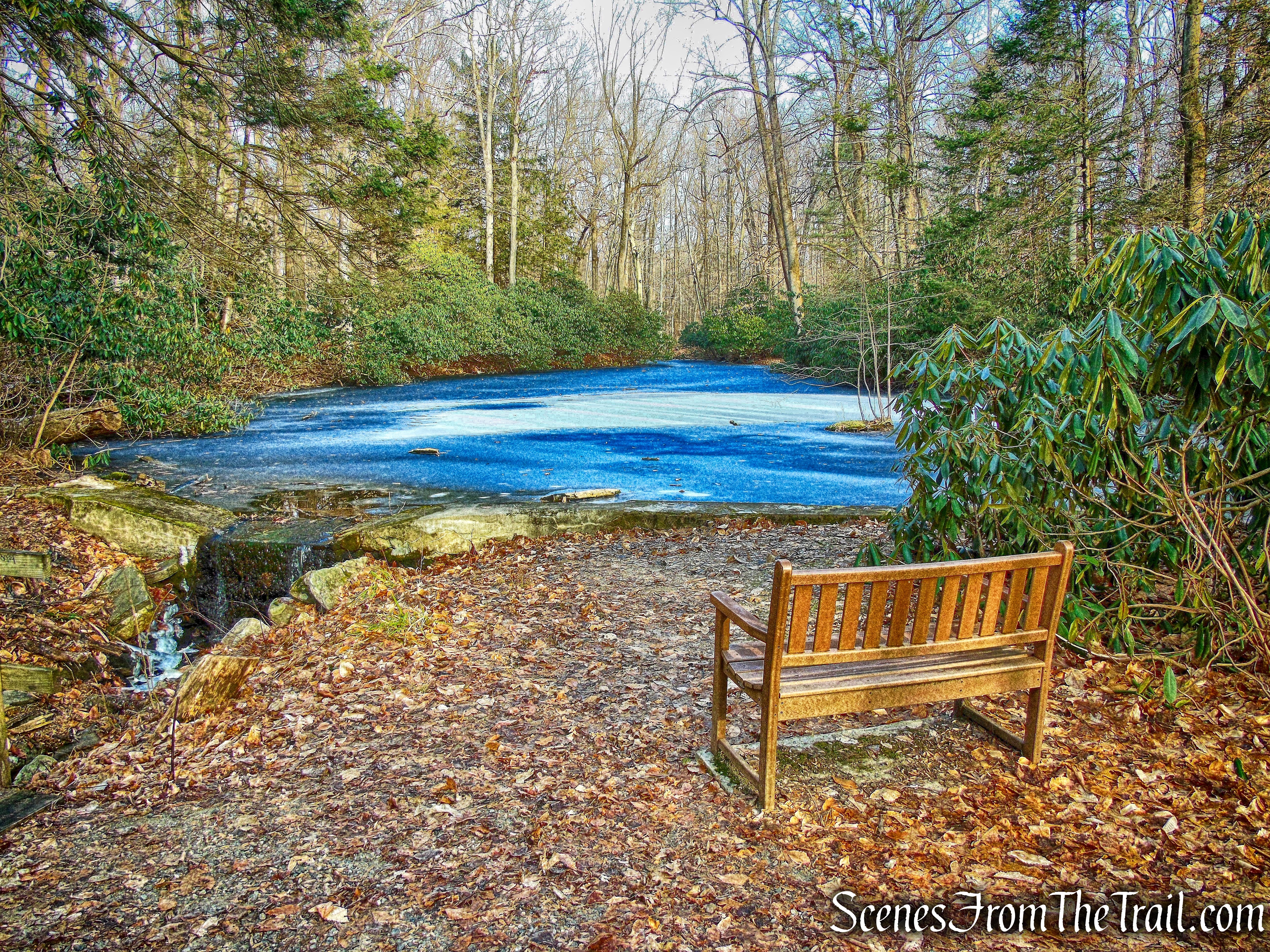Yellow Trail - Hart's Brook Park and Preserve